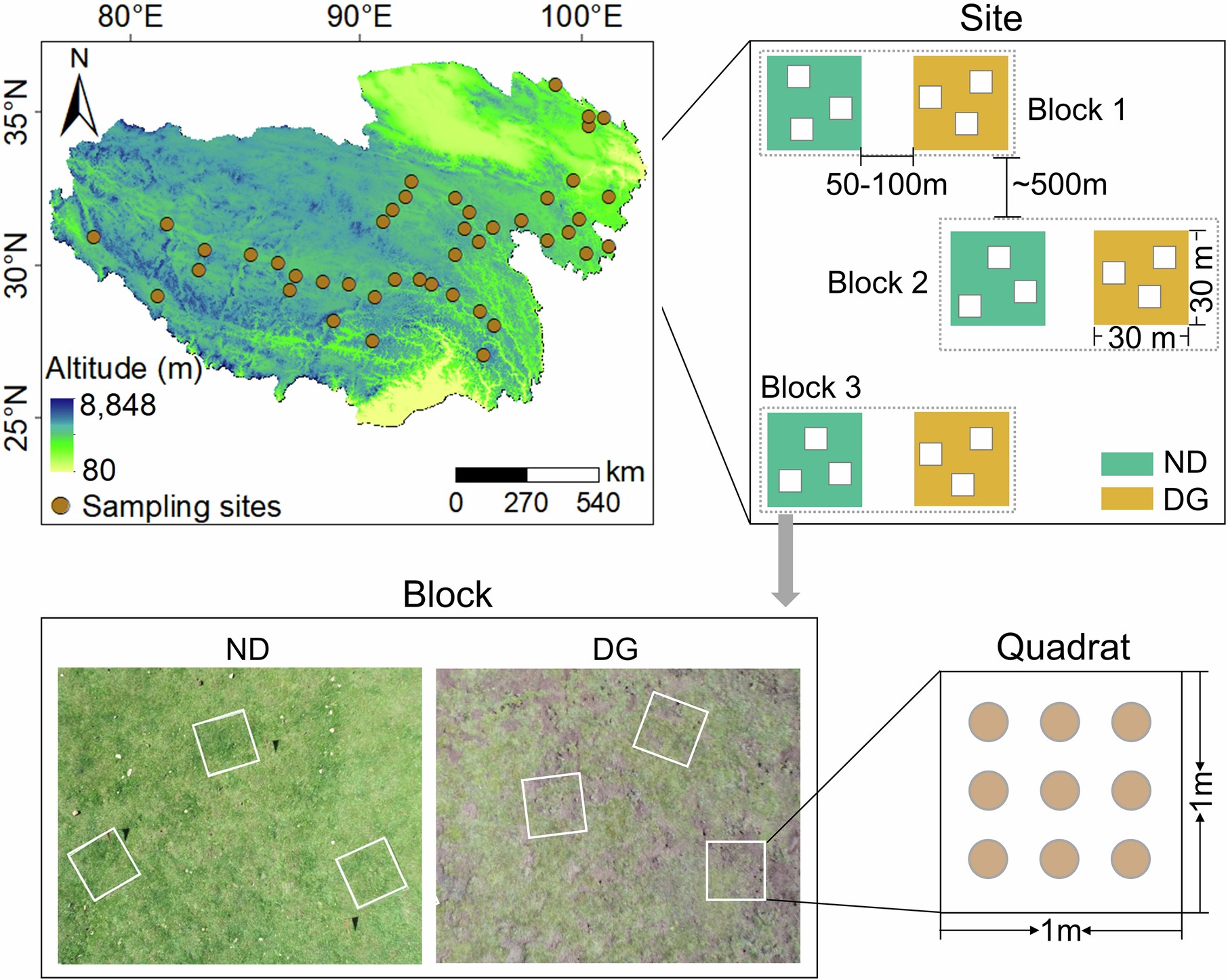 Extended Data Fig. 1: Schematic diagram of the sampling design.