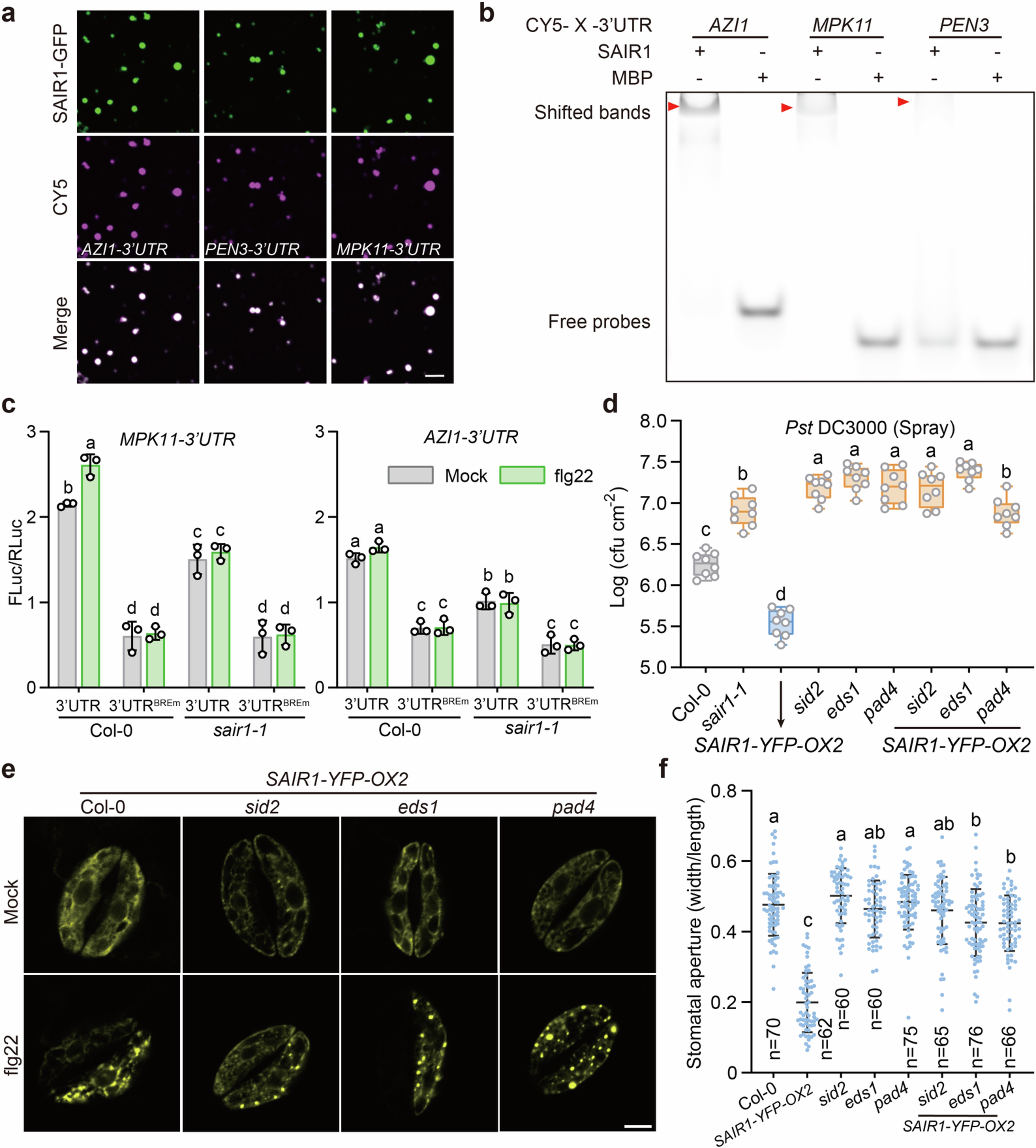 Extended Data Fig. 9