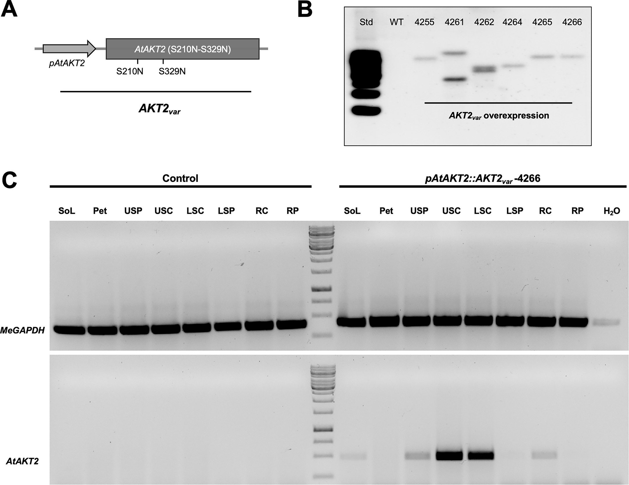 Extended Data Fig. 1