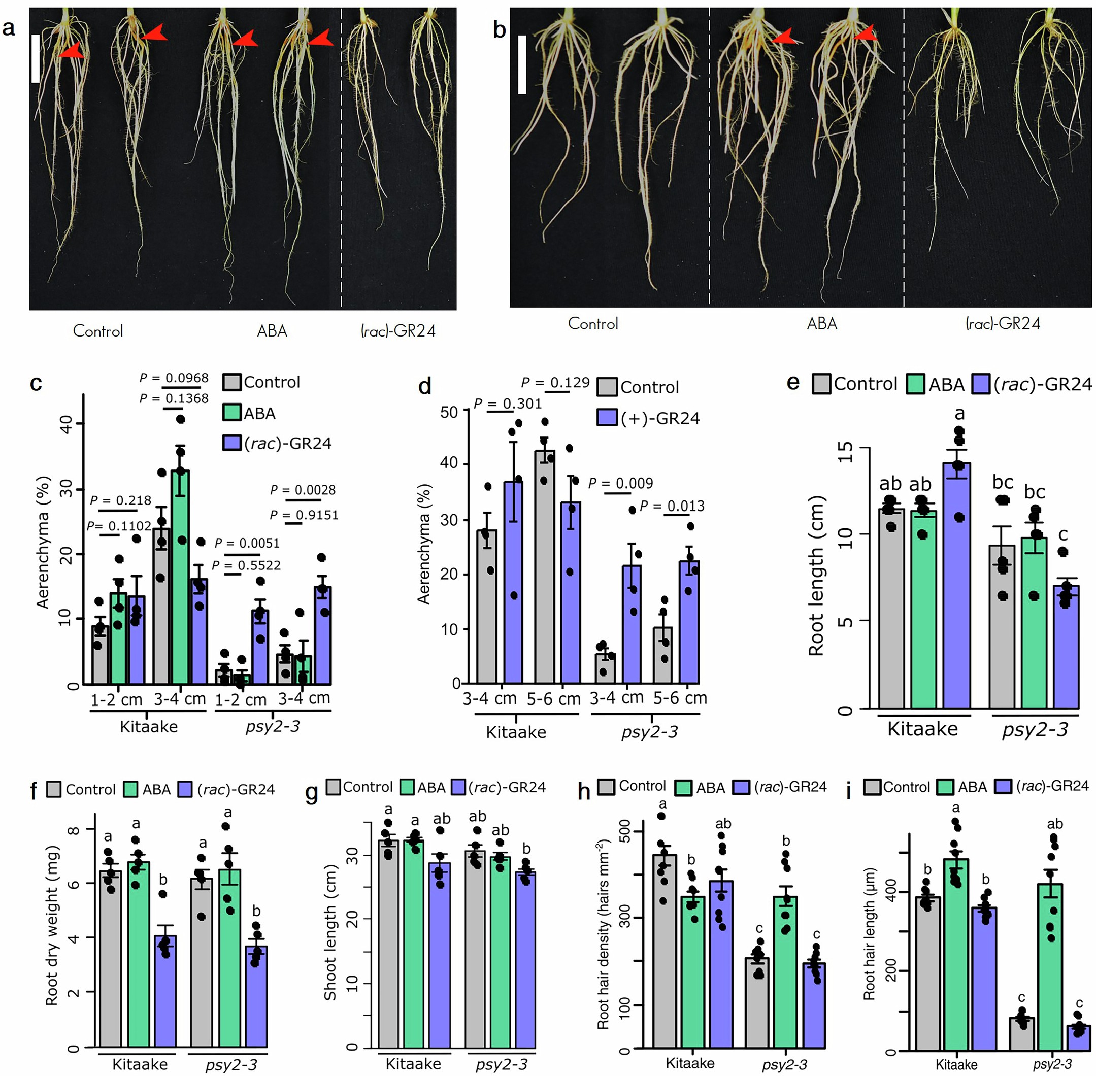 Extended Data Fig. 9