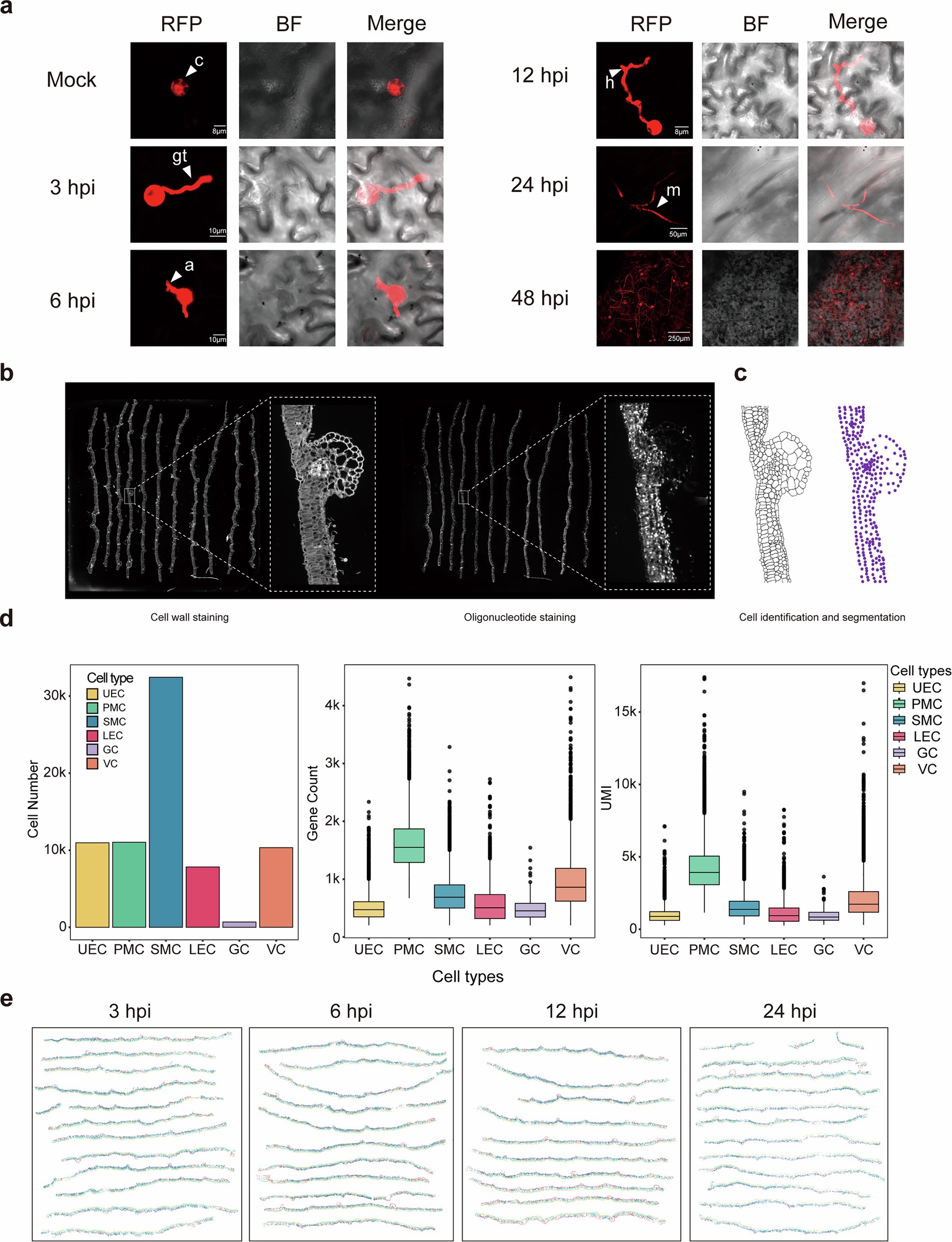 Extended Data Fig. 1