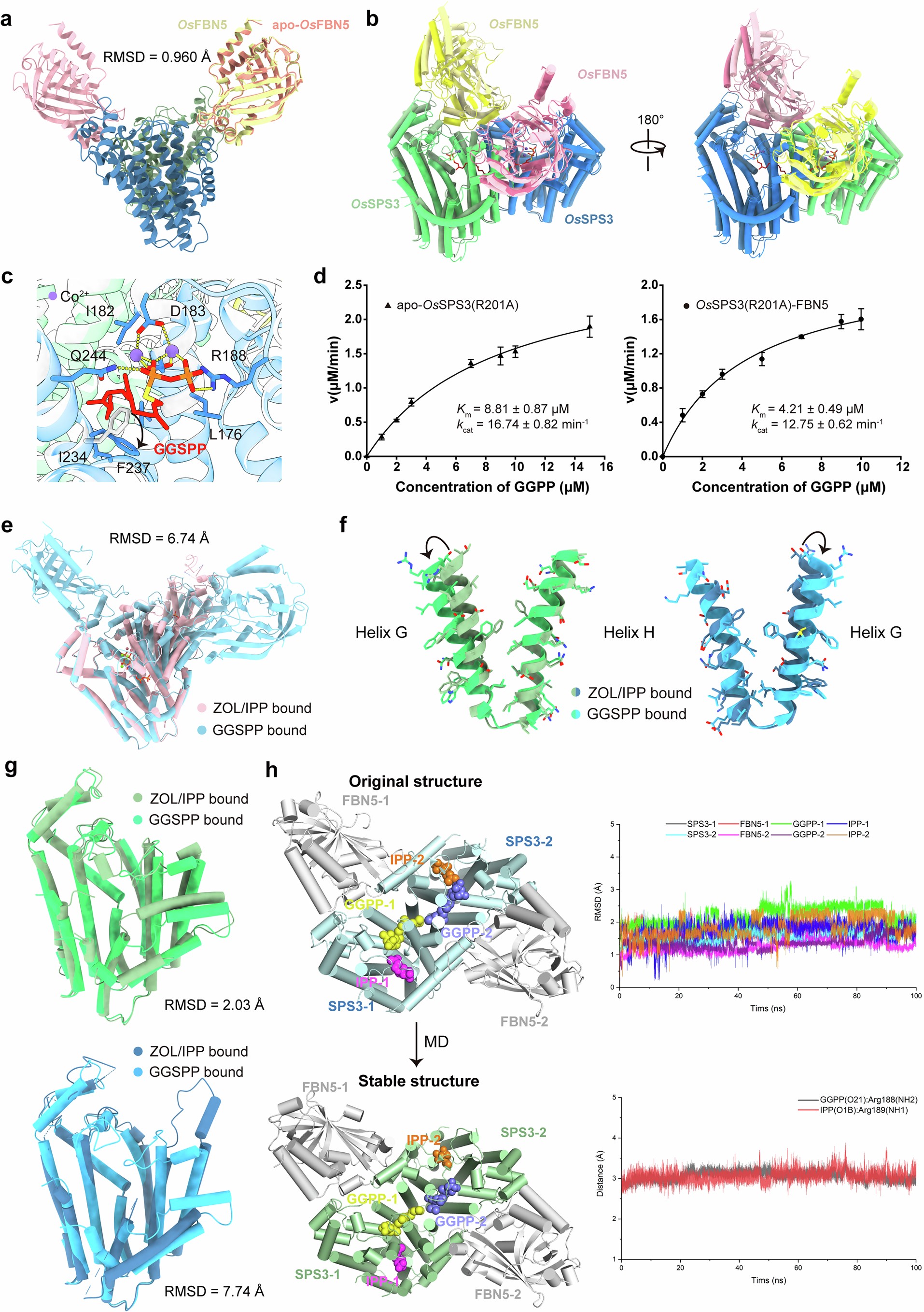 Extended Data Fig. 6: Structural and functional analysis of the OsSPS3–FBN5 complex.
