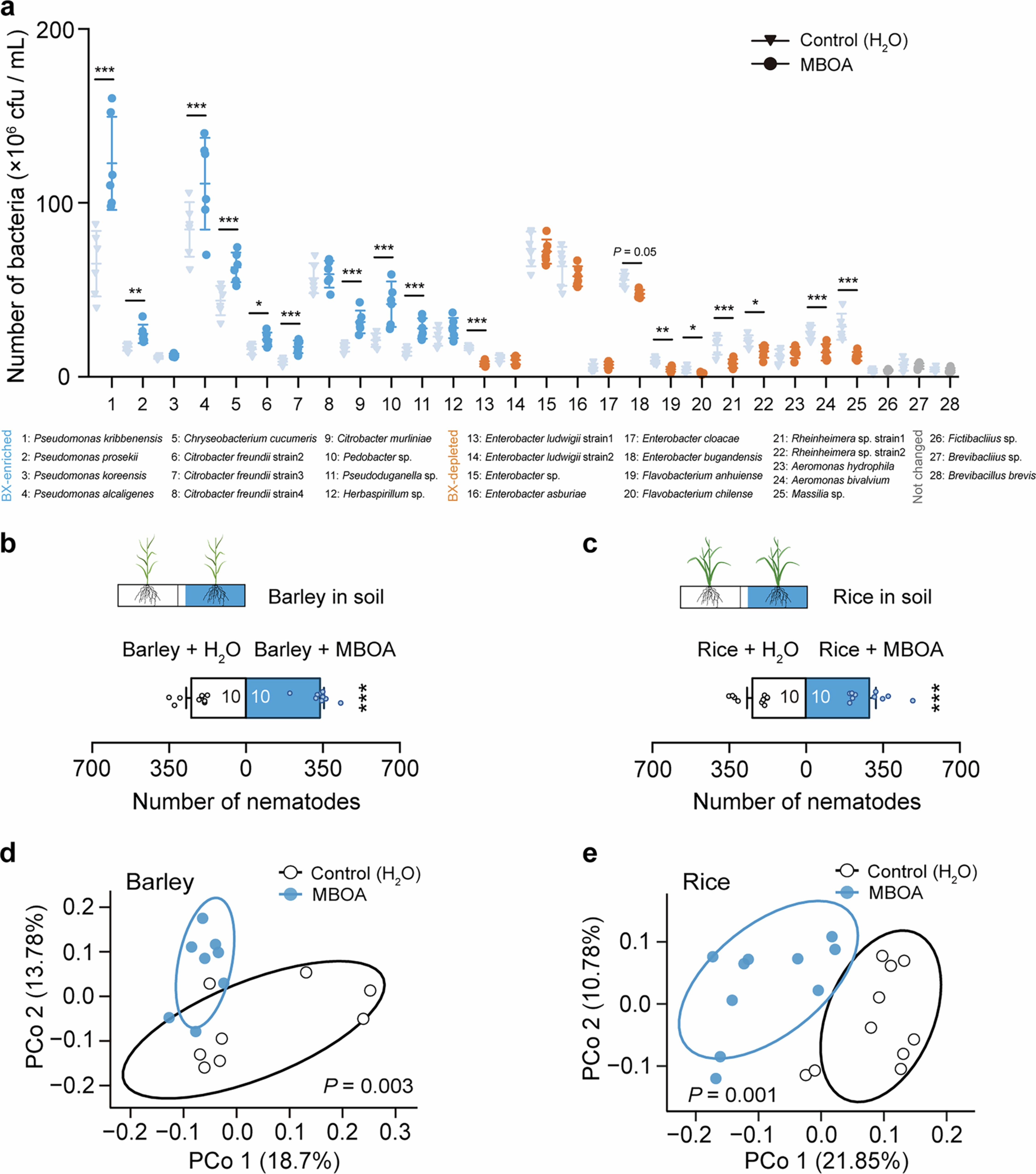 Extended Data Fig. 3: MBOA promotes RKN attraction across non-BX-producing plant species.