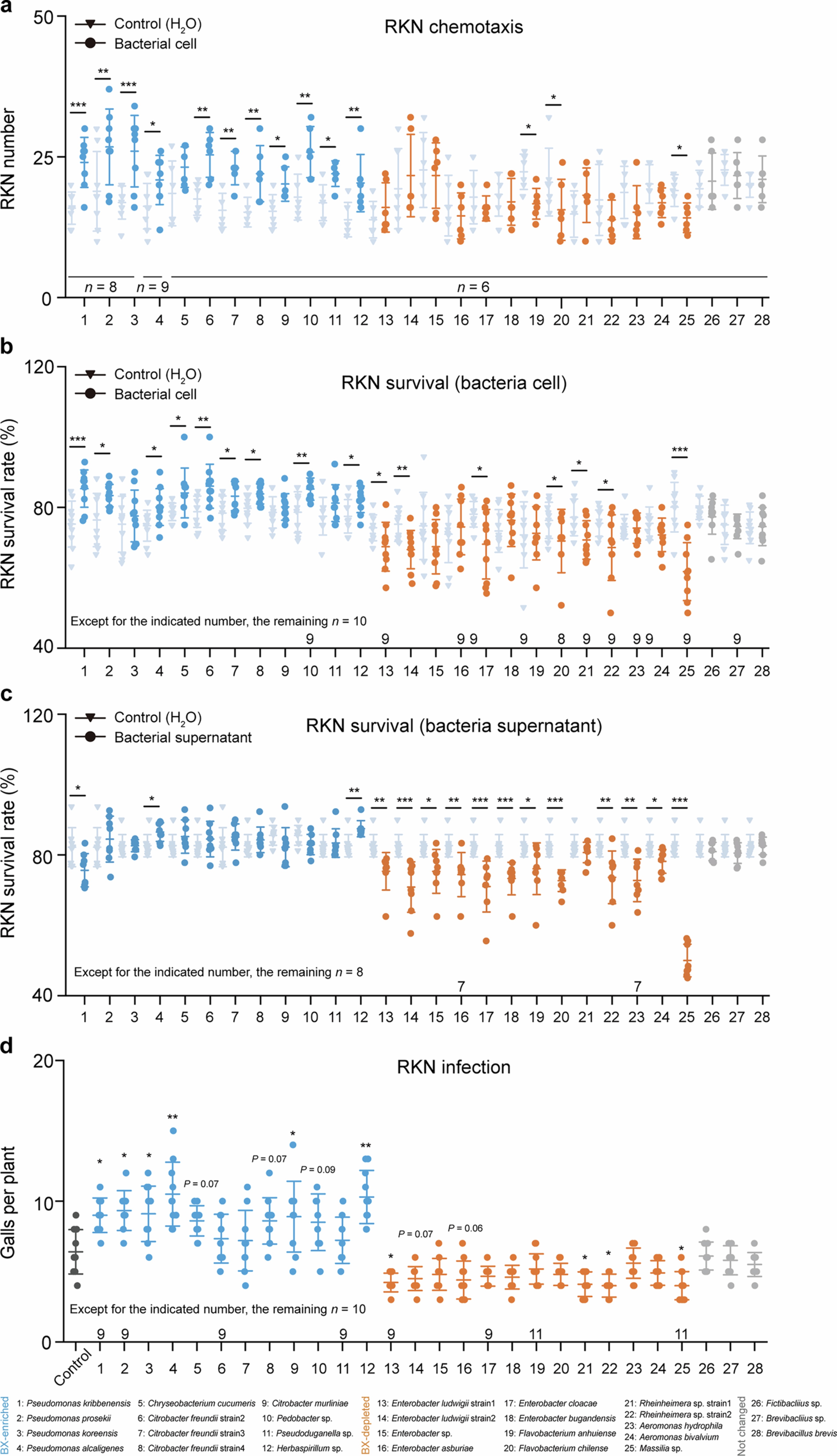 Extended Data Fig. 2: Effects of individual bacteria strains on RKN chemotaxis, mortality and infection.