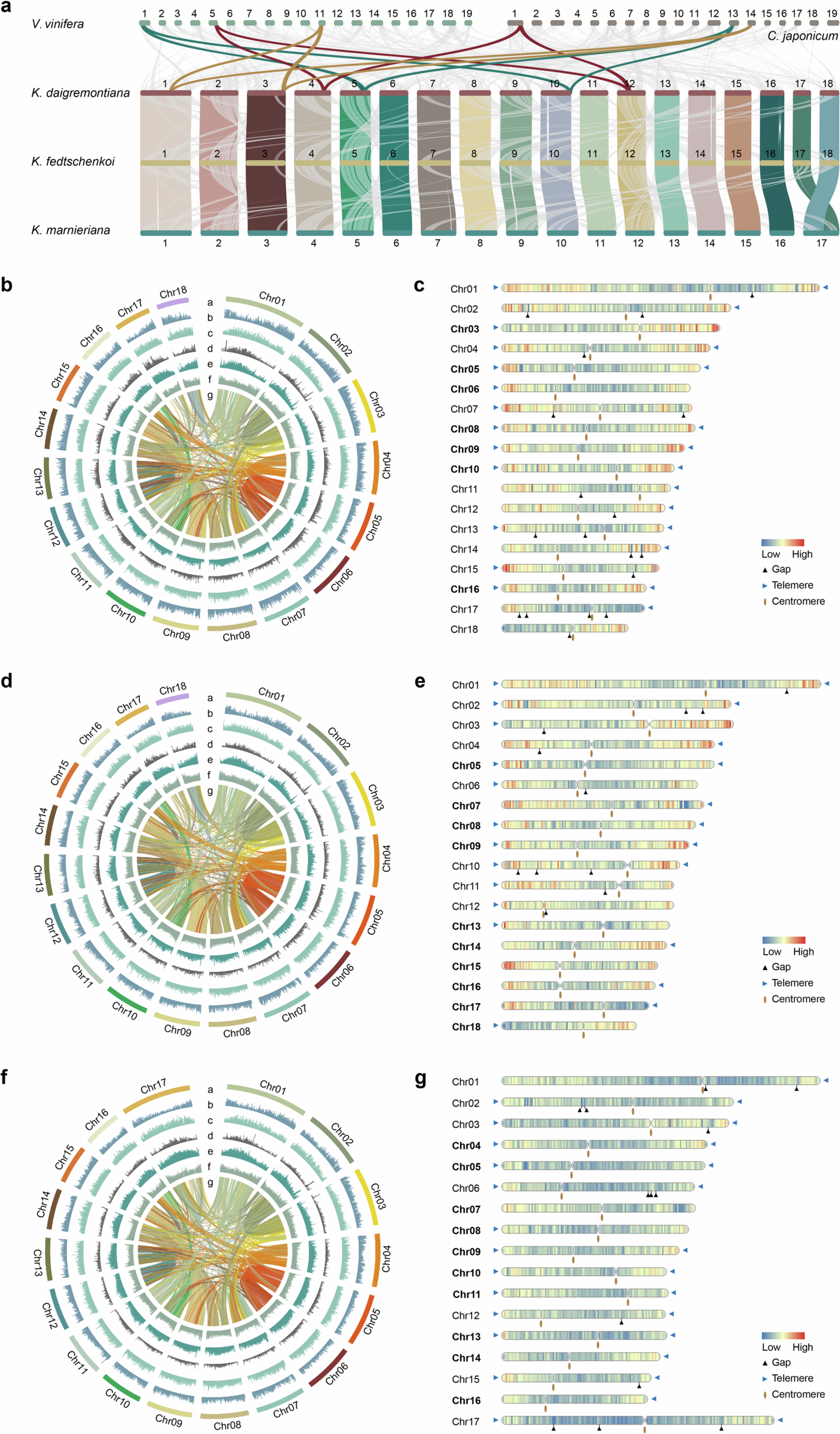 Extended Data Fig. 4: Analysis of chromosomal collinearity and chromatin structure among three Kalanchoe species.