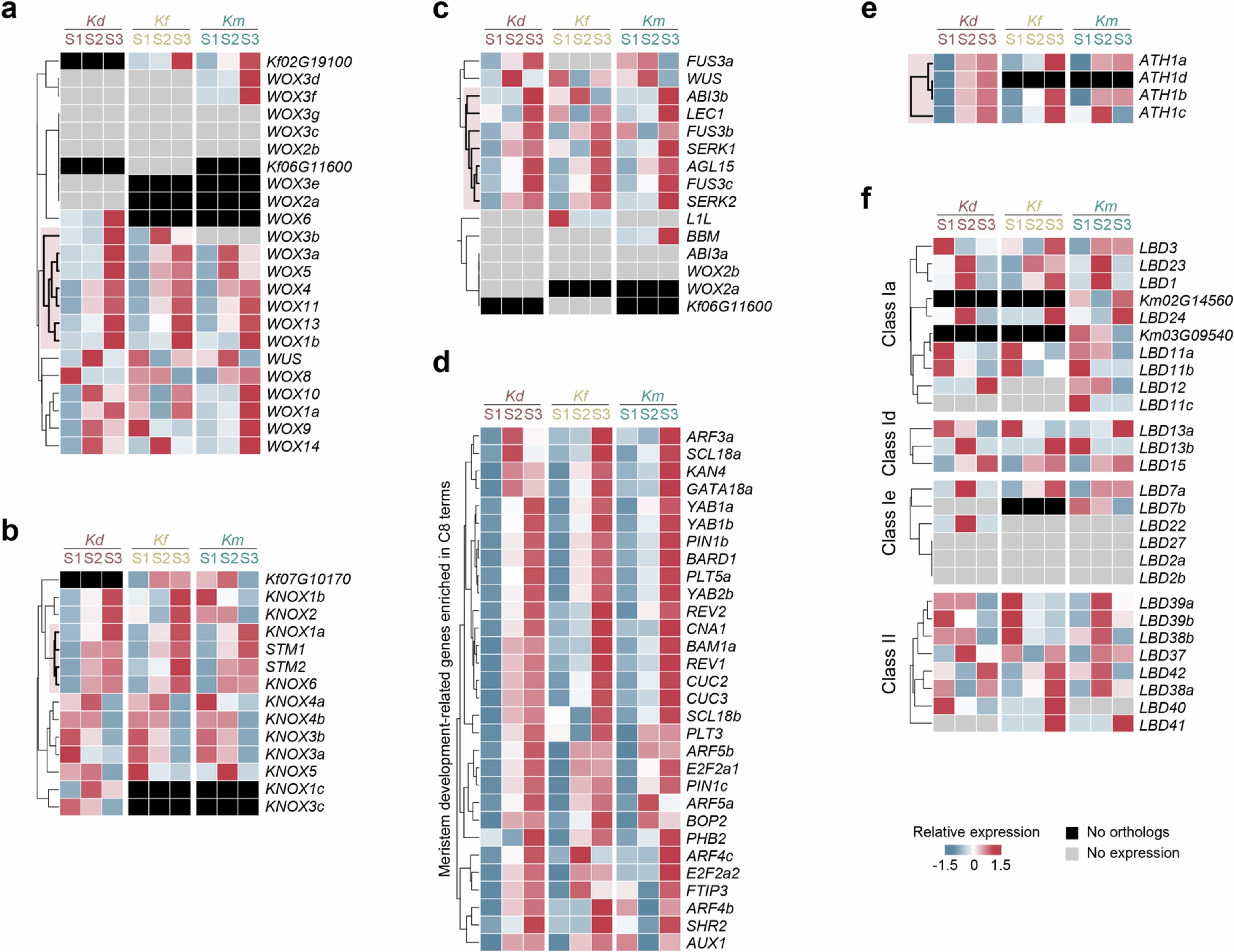Extended Data Fig. 9: Expression patterns of representative pluripotency-associated genes during plantlet formation.
