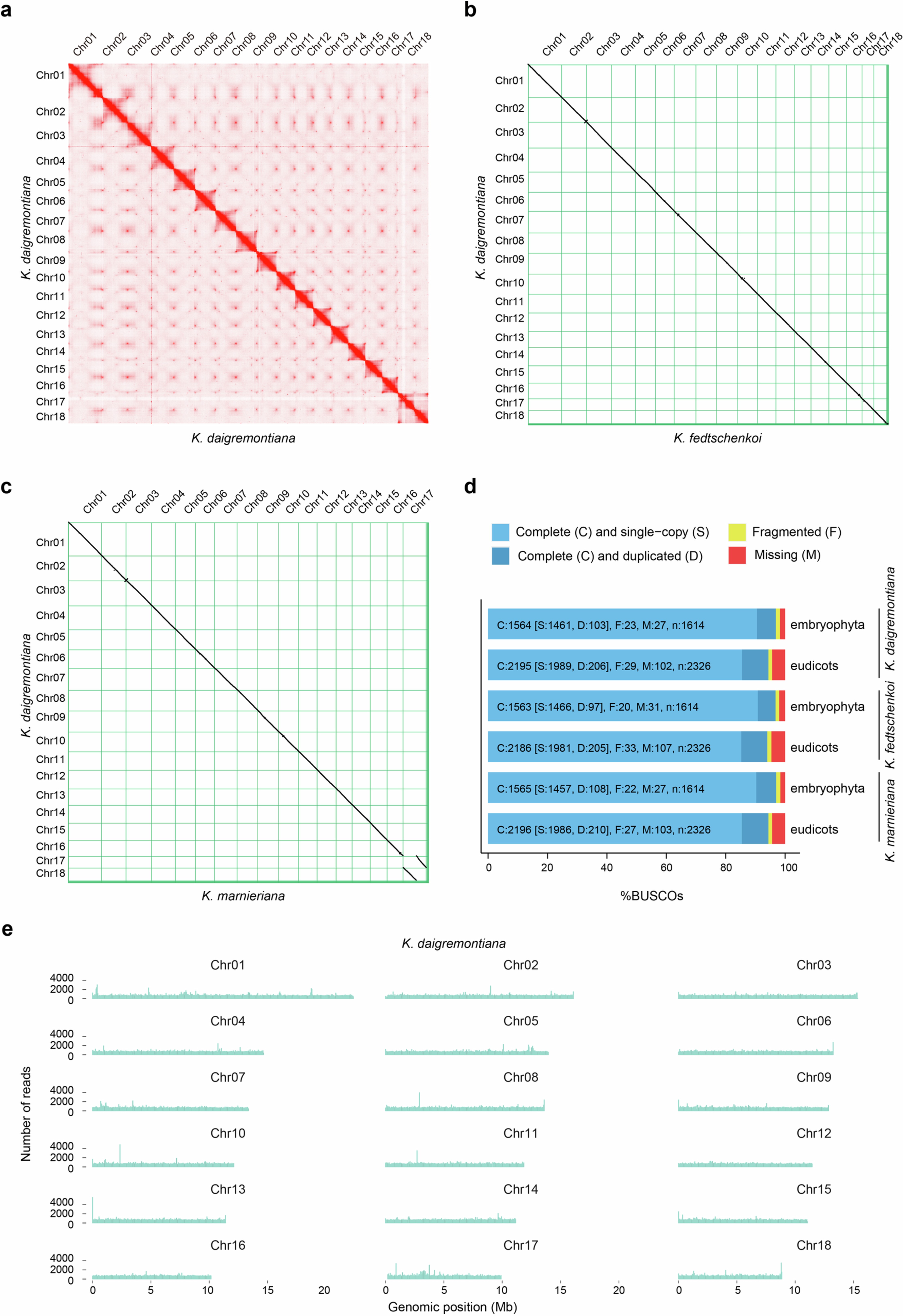 Extended Data Fig. 3: Assembly and annotation of chromosome-level reference genomes for three Kalanchoe species.