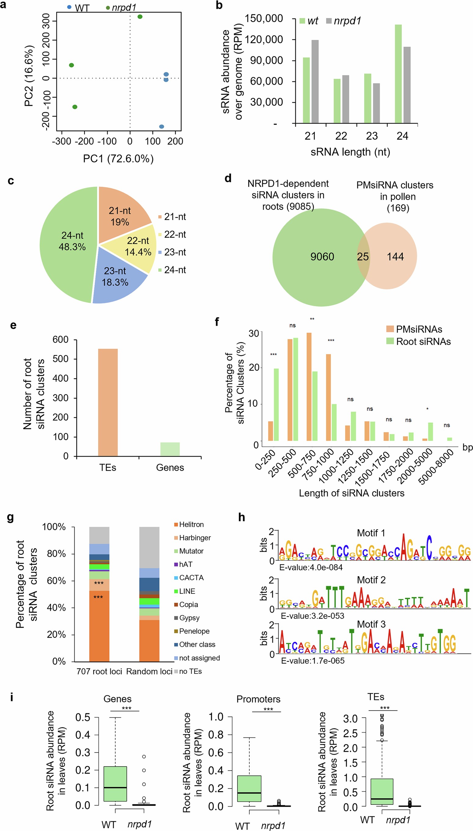 Extended Data Fig. 7: sRNA profiling in root tissues.