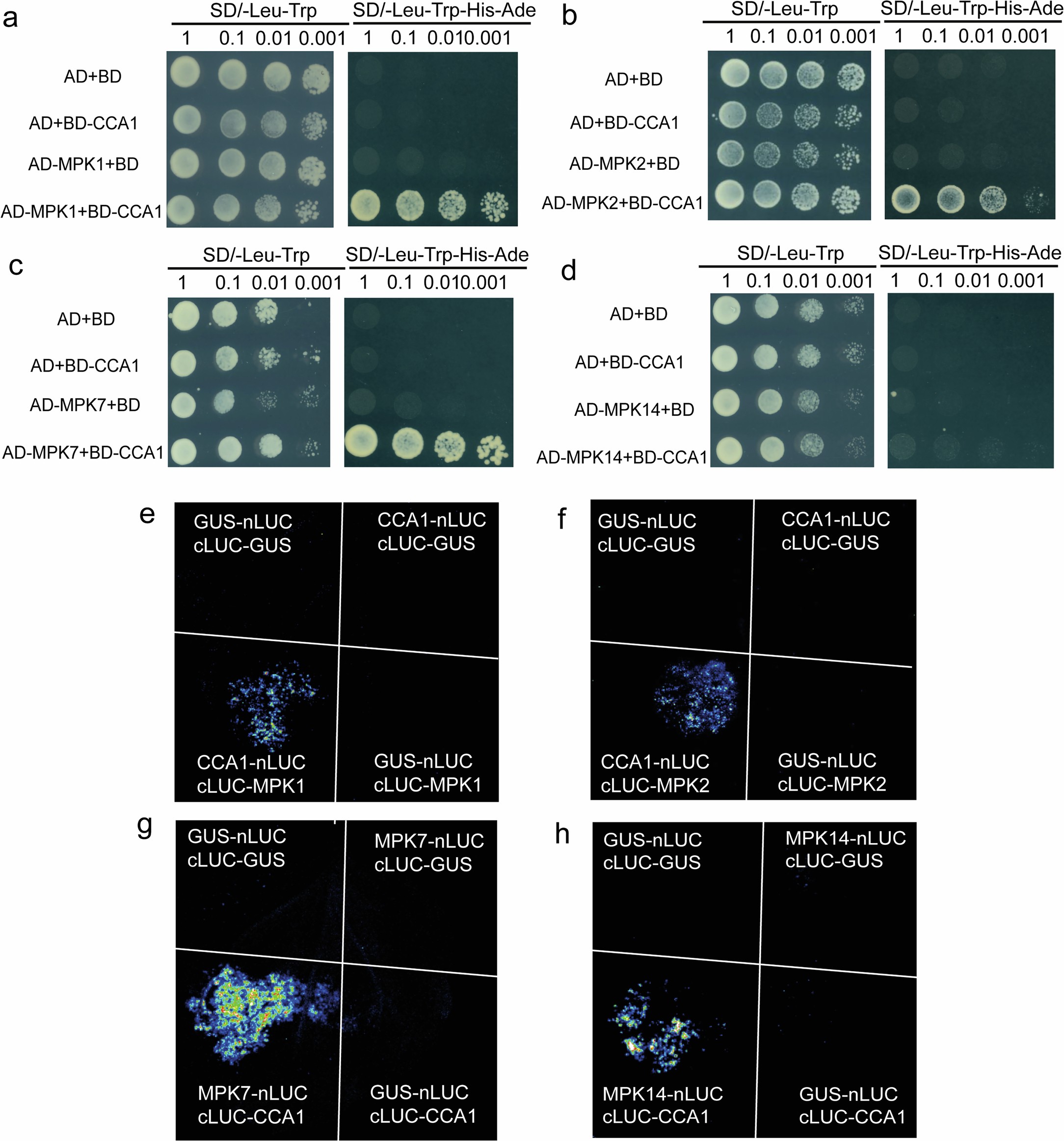 Extended Data Fig. 8