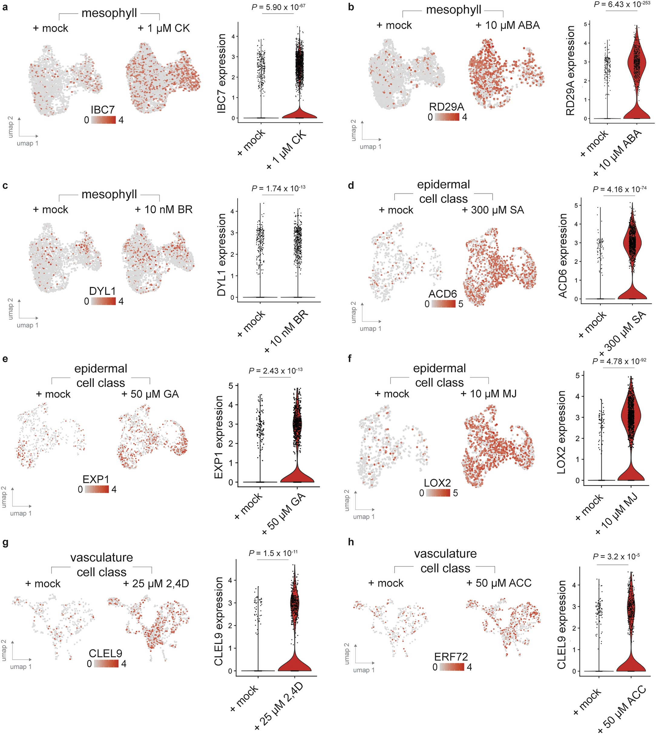 Extended Data Fig. 7: Cell-class specific transcriptional responses to exogenous hormone treatment.