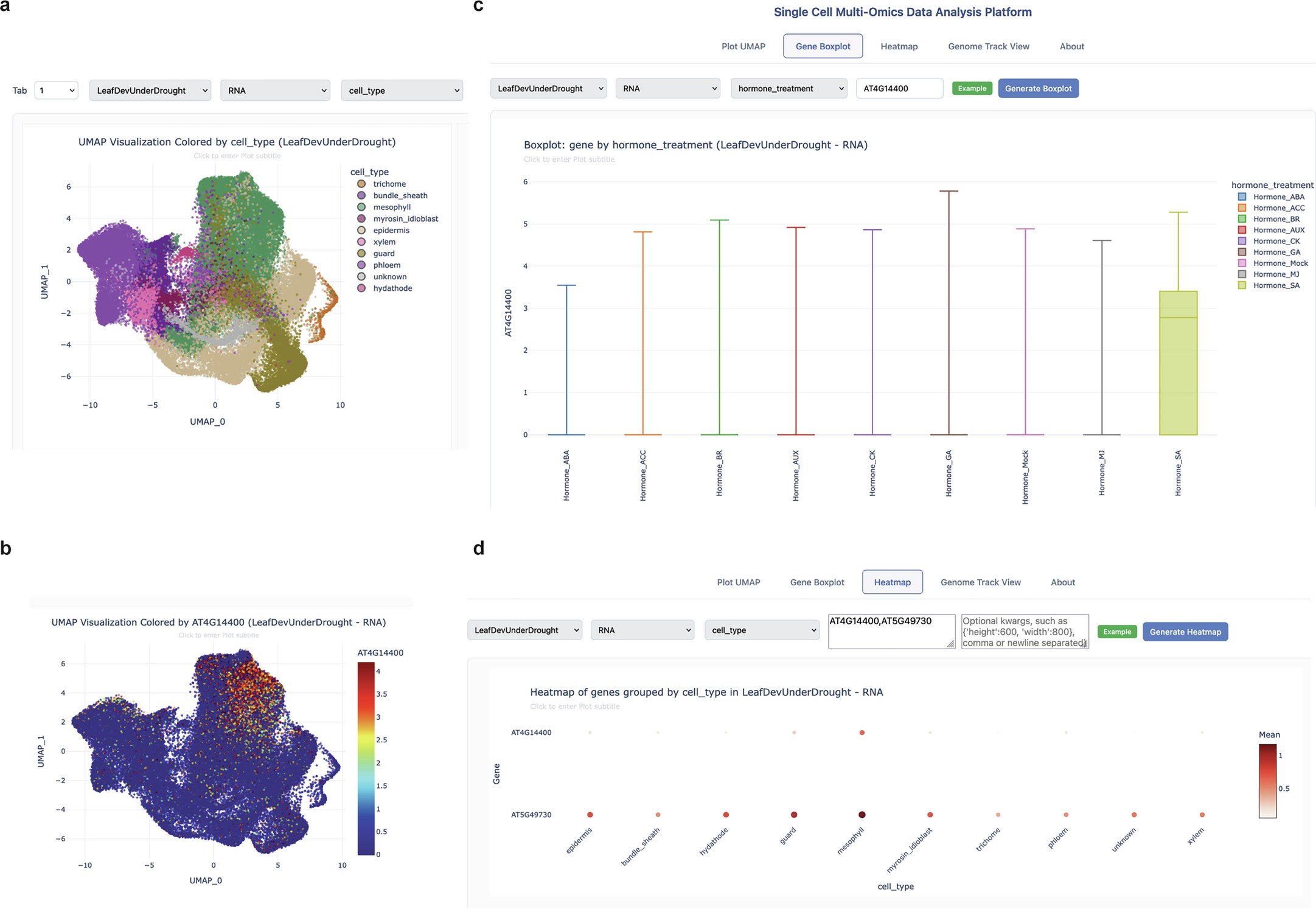 Extended Data Fig. 2: The Arabidopsis leaf atlas is available online. The transcriptomic atlas holding the different experiments presented in this study is available online.