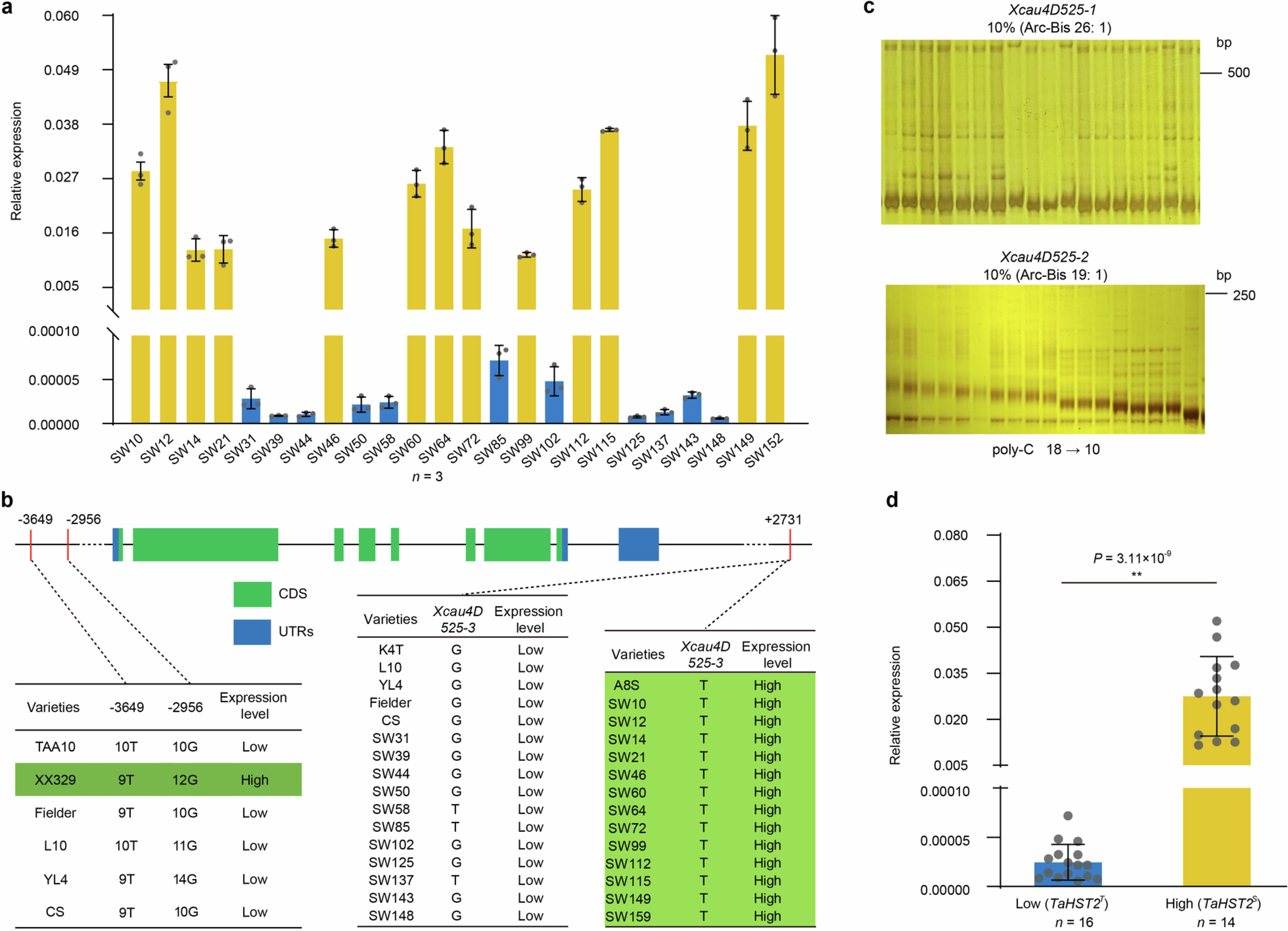 Extended Data Fig. 4: Association analysis between variation sites of TaHST2 and its expression levels.