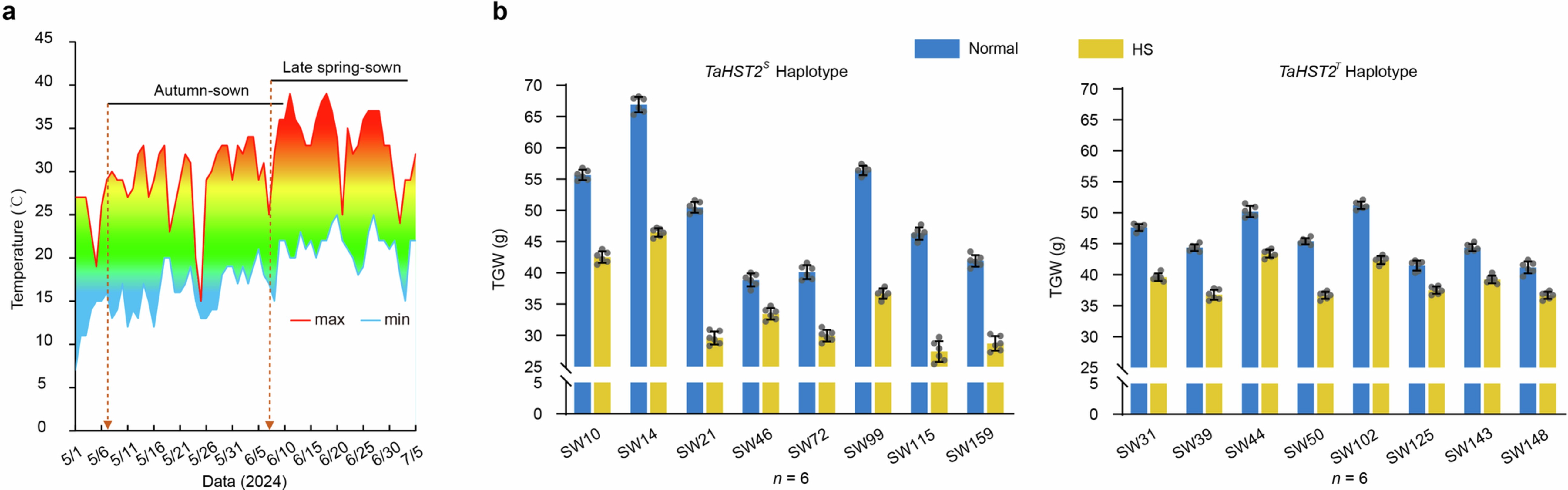 Extended Data Fig. 6: Temperature records from Beijing and thousand grain weight (TGW) of wheat sown at the different times.