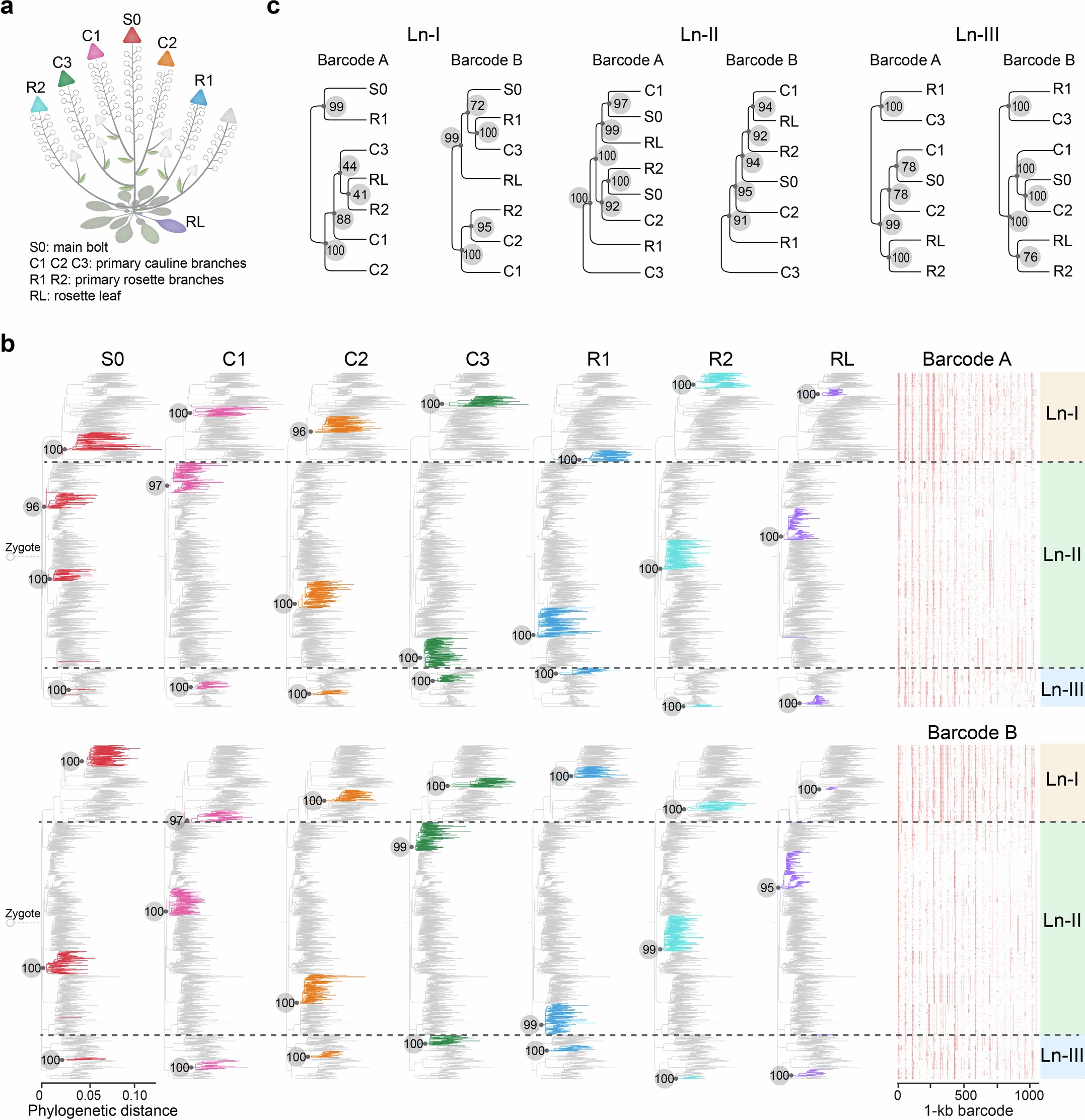 Extended Data Fig. 4: Phylogeny analysis of Plant-2.