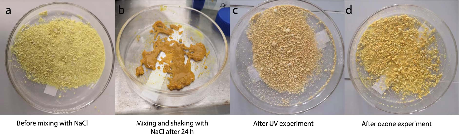 Extended Data Fig. 5