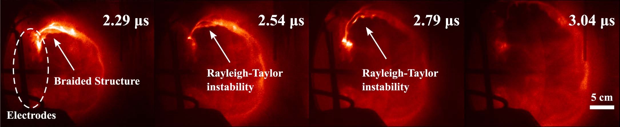 Extended Data Fig. 2