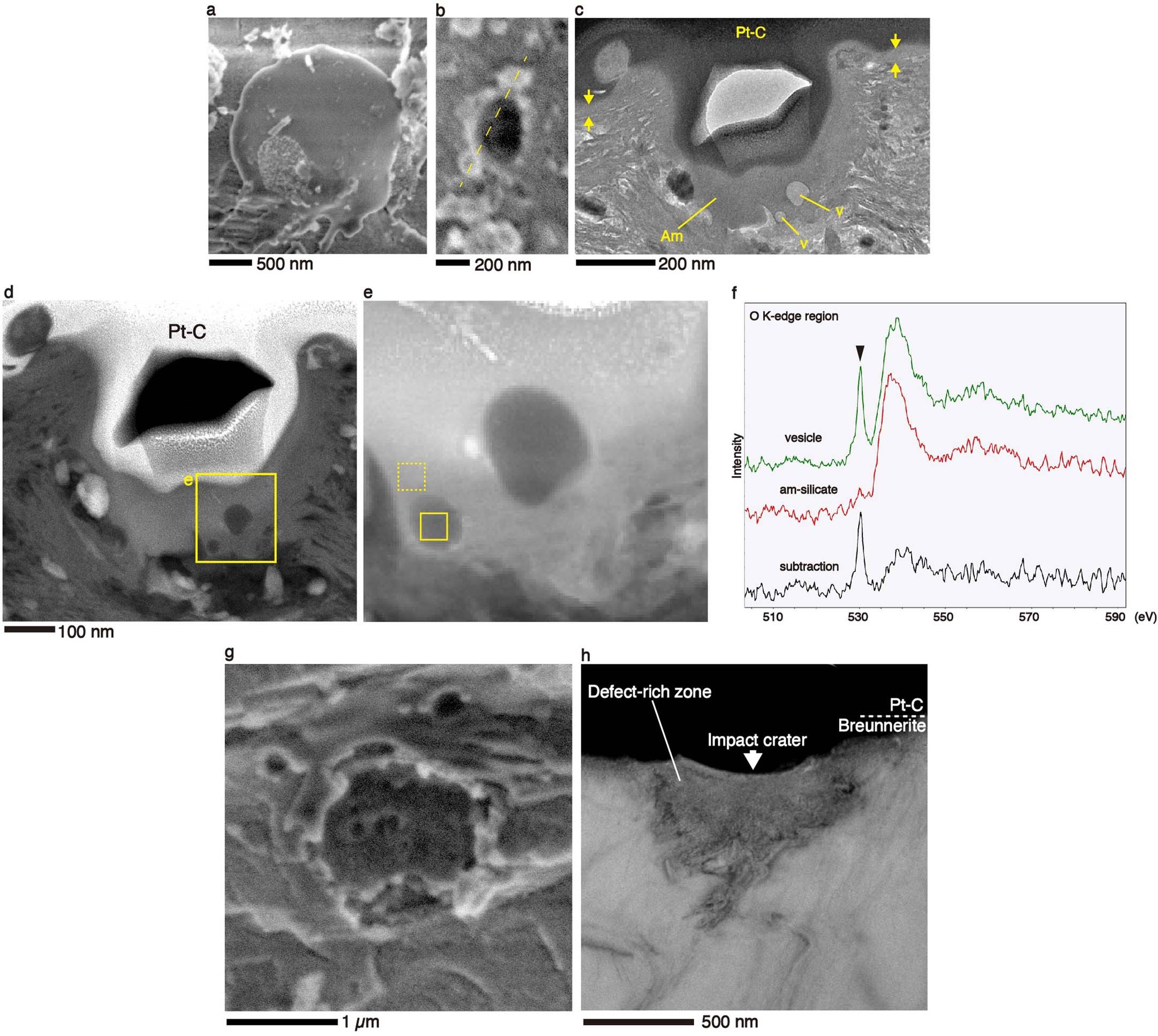 Extended Data Fig. 7