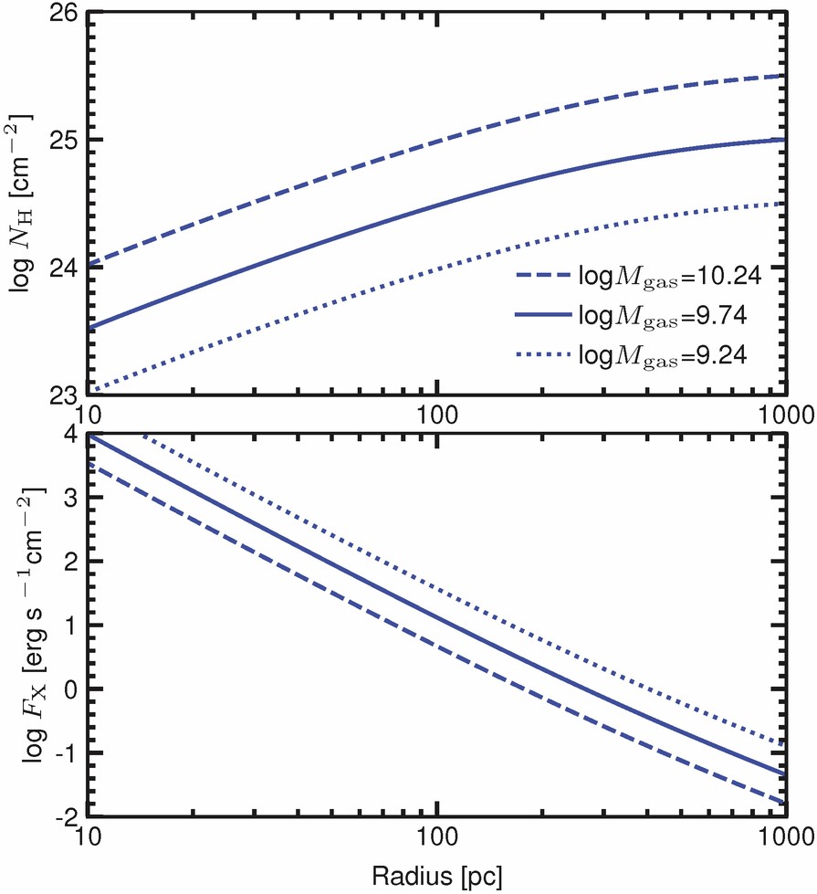 Extended Data Fig. 3: X-ray-dominated region model.