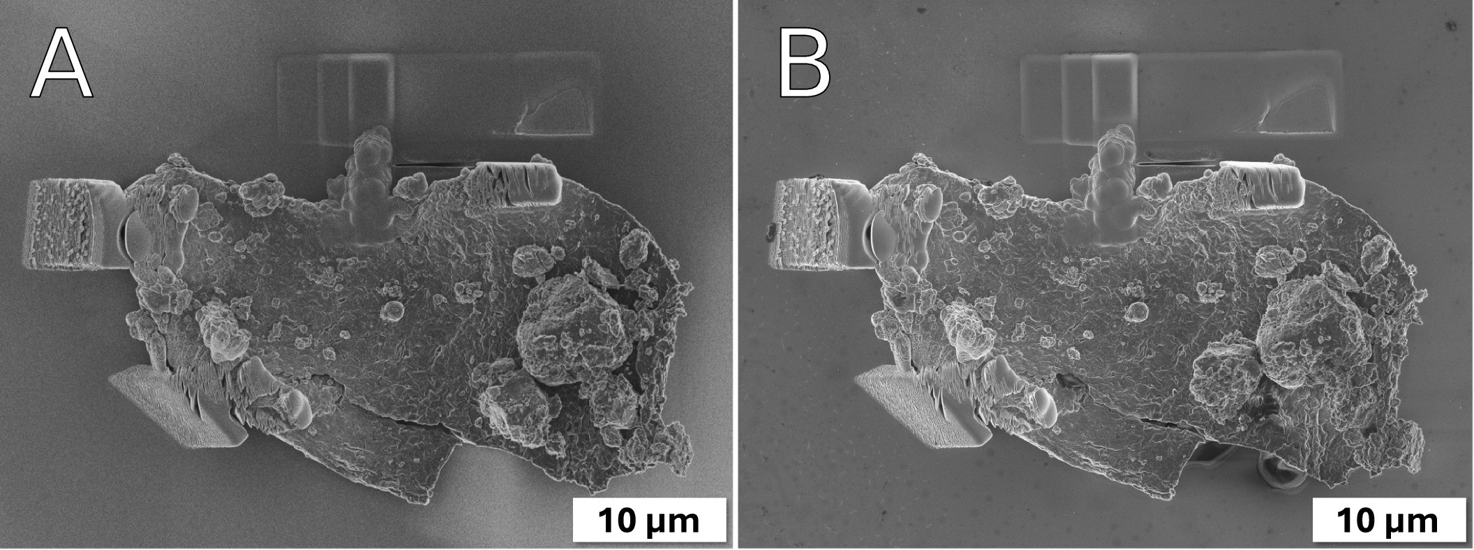 Extended Data Fig. 6: SEM images of Particle 64 welded to an Au-coated Si chip with Pt in a FIB.