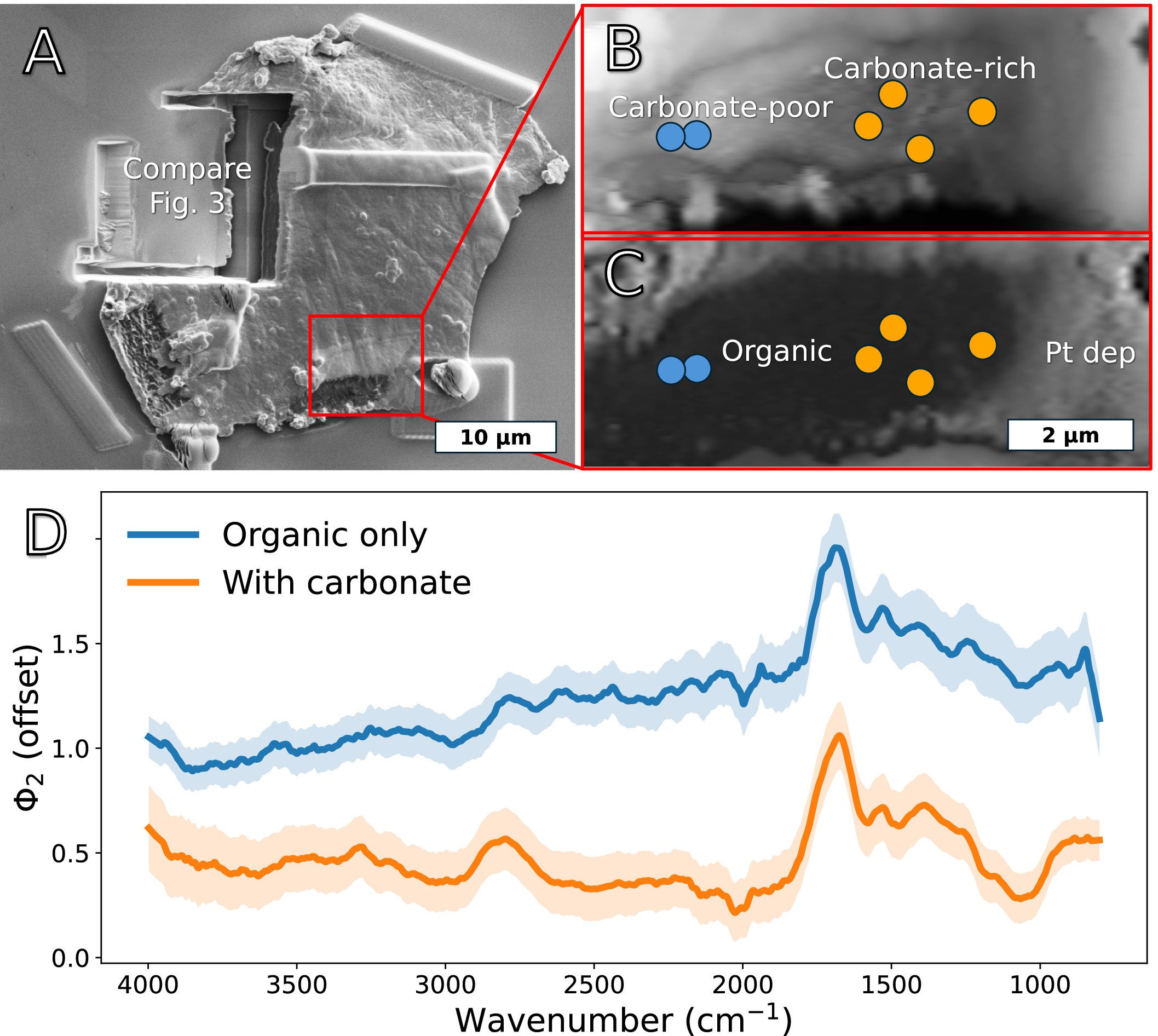 Extended Data Fig. 3: Nano-FTIR analysis of Particle 33.