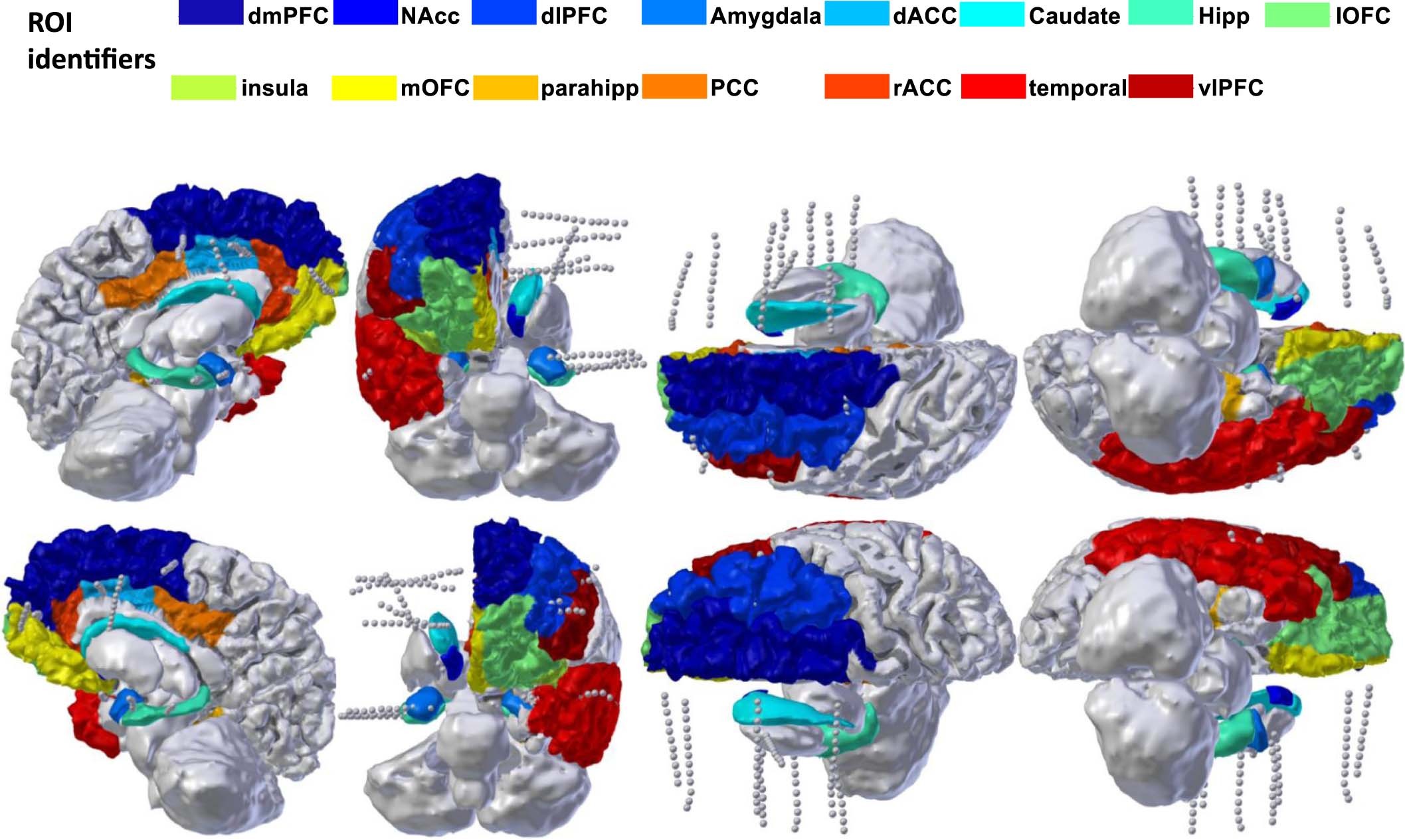 Extended Data Fig. 1