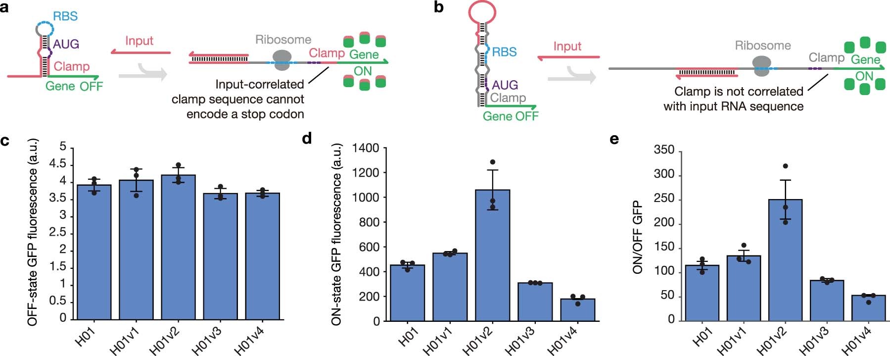 Extended Data Fig. 2: Comparison of sequence constraints for toehold switches and LIRAs.