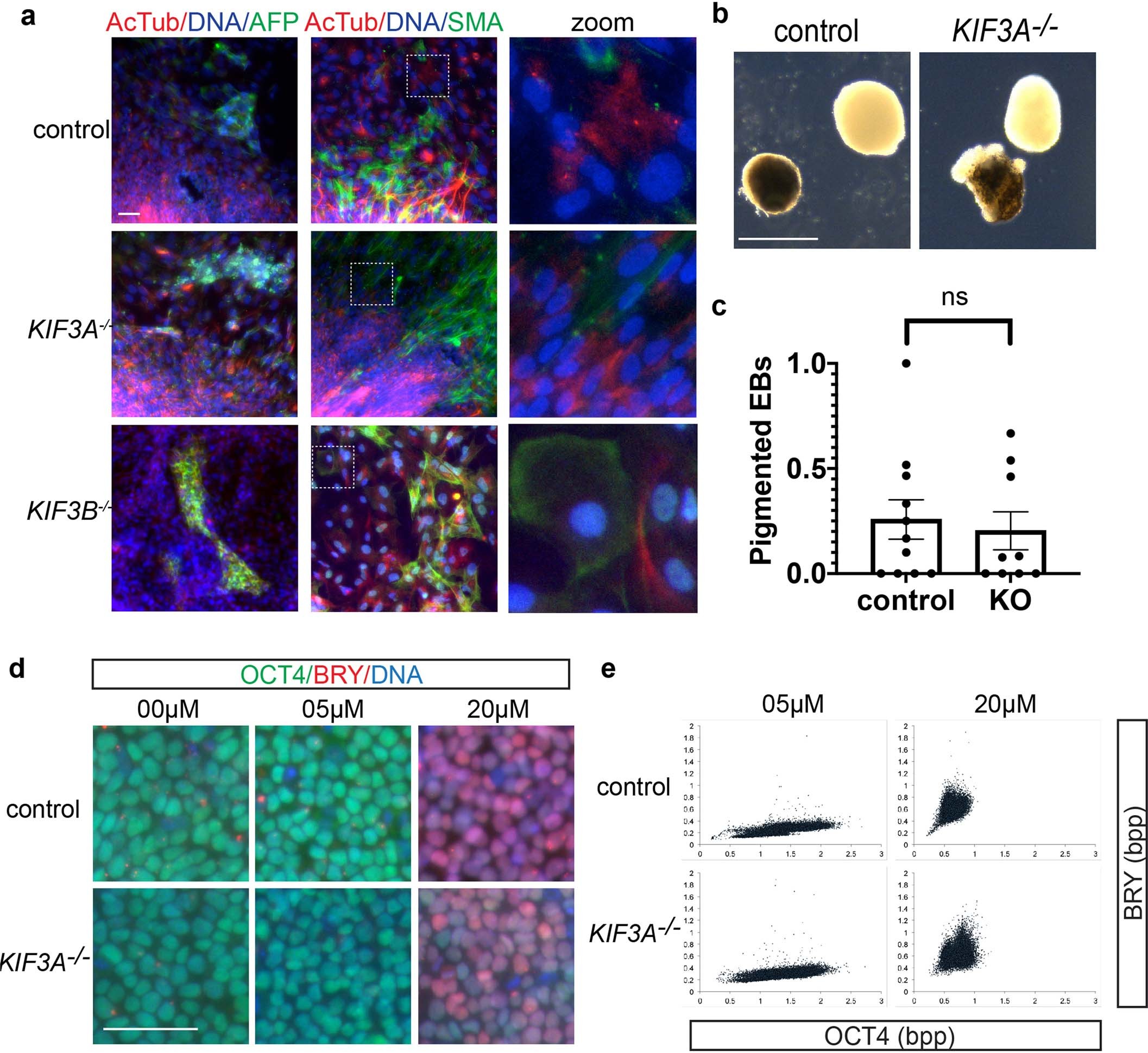 Extended Data Fig. 2