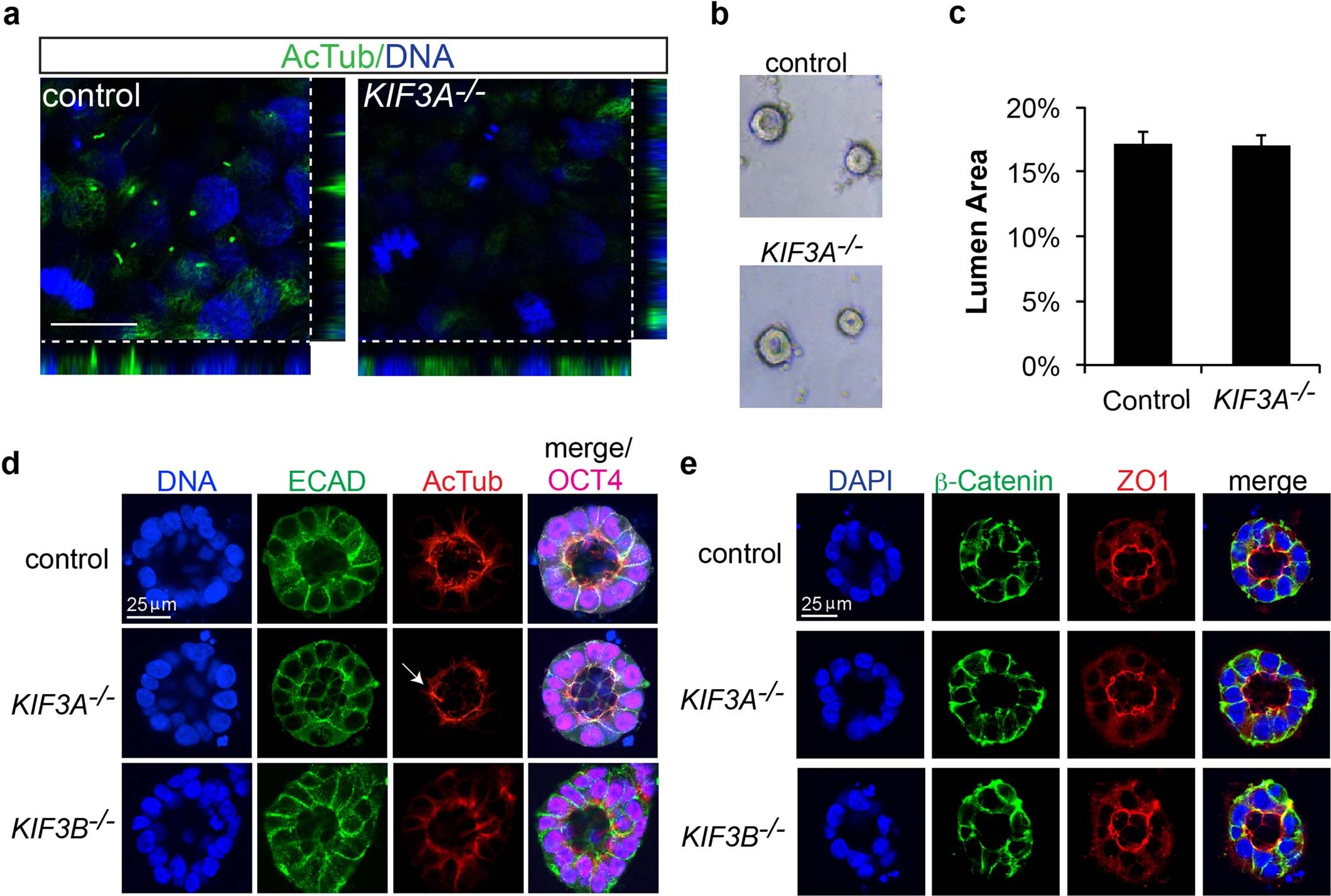 Extended Data Fig. 1