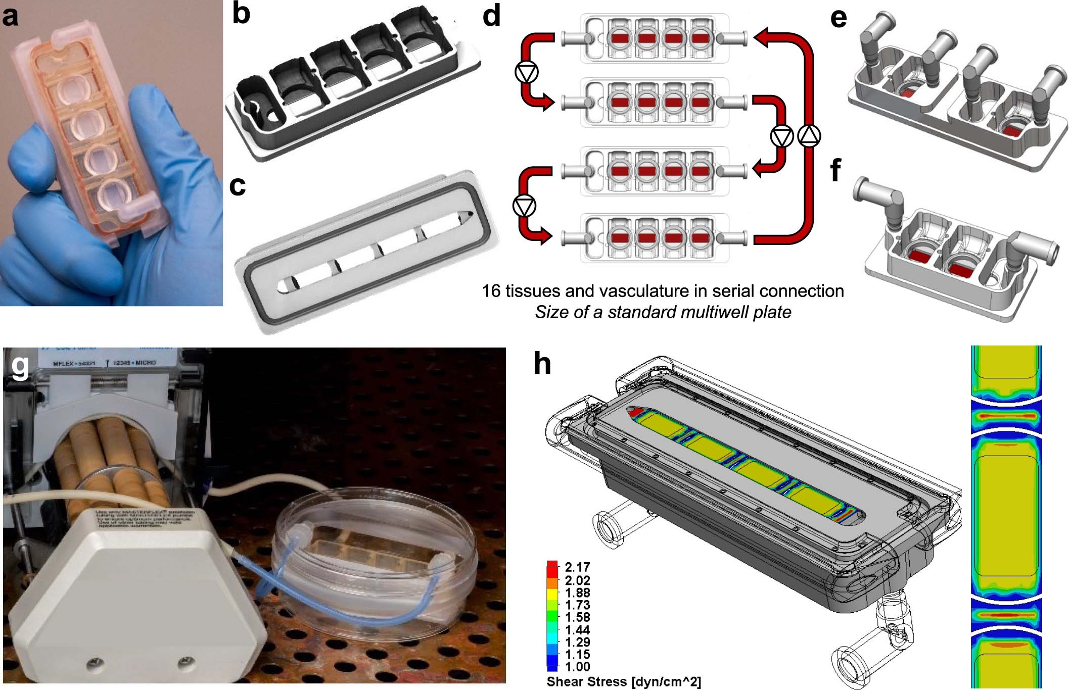 Extended Data Fig. 1