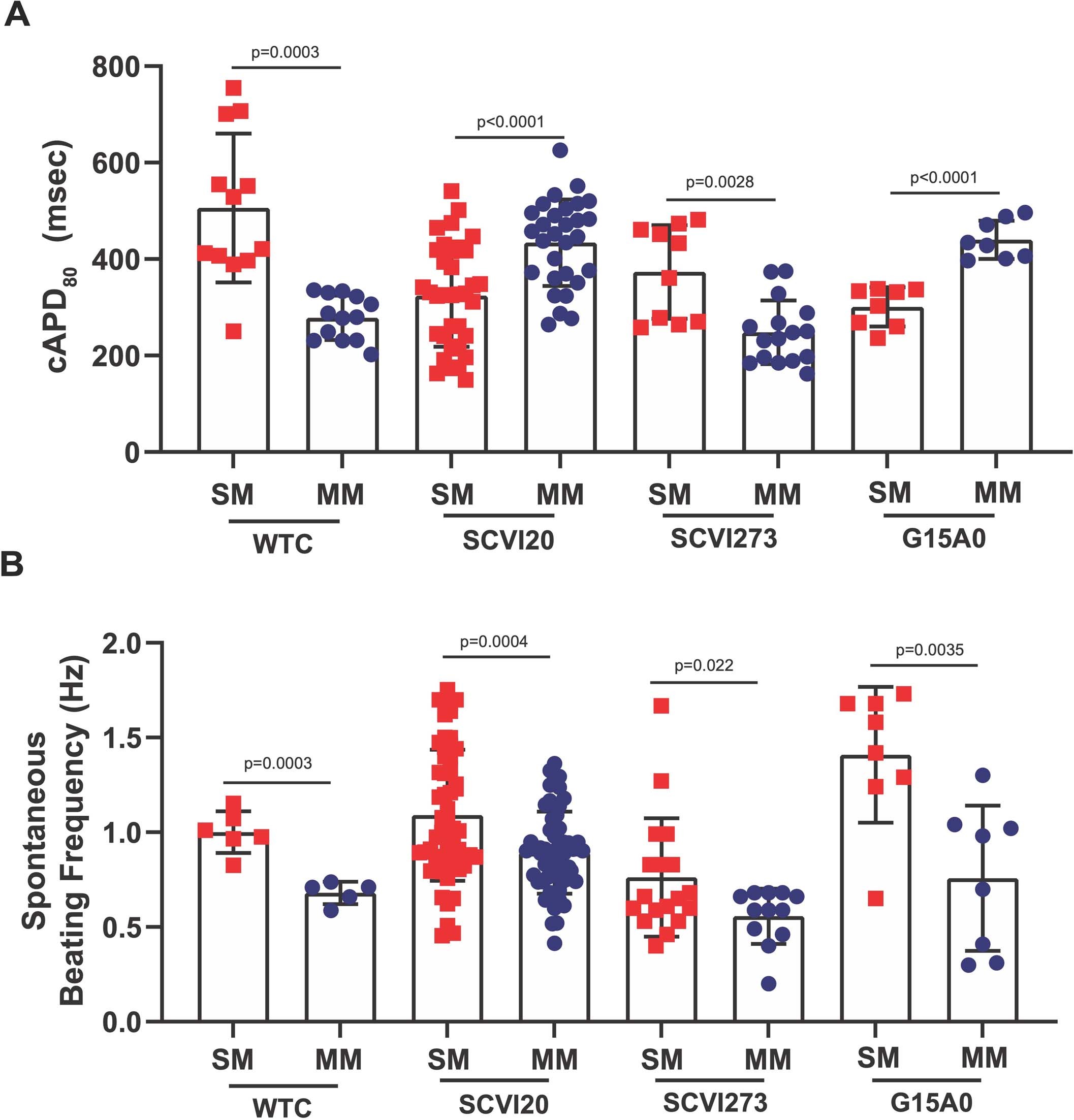 Extended Data Fig. 4: Action-potential duration and beat rate in MPS of four genotypes.