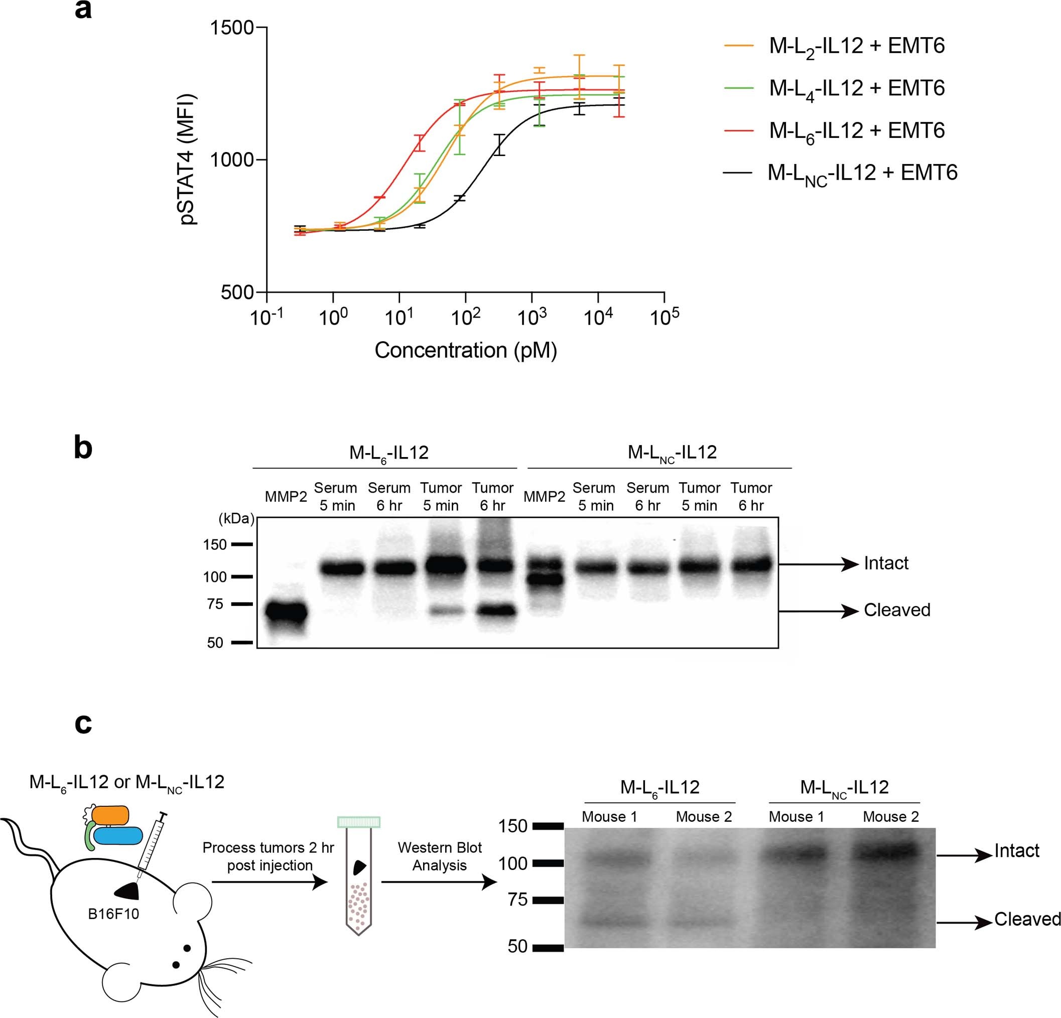 Extended Data Fig. 2