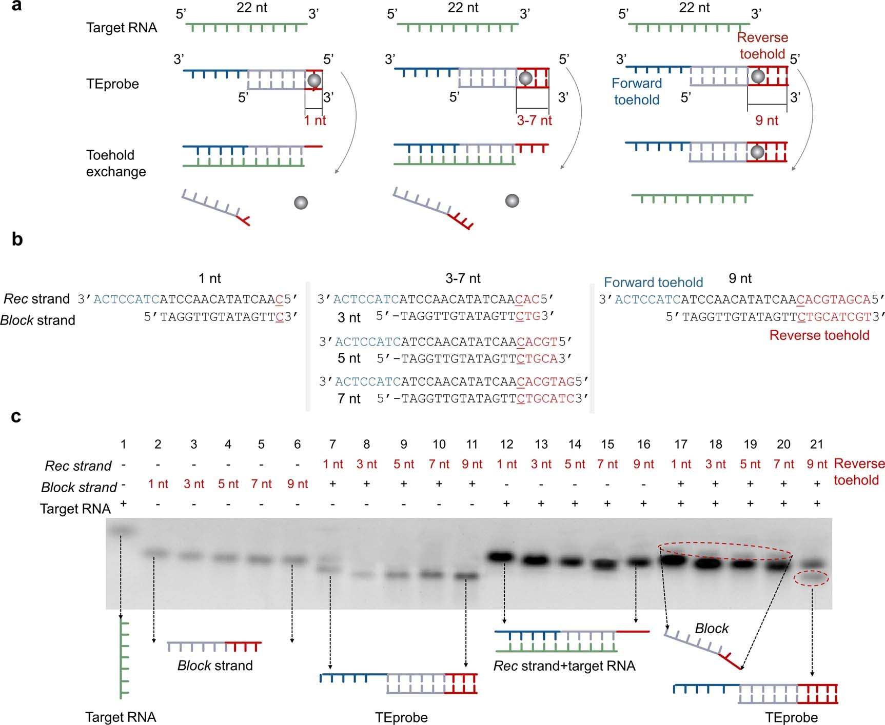 Extended Data Fig. 1
