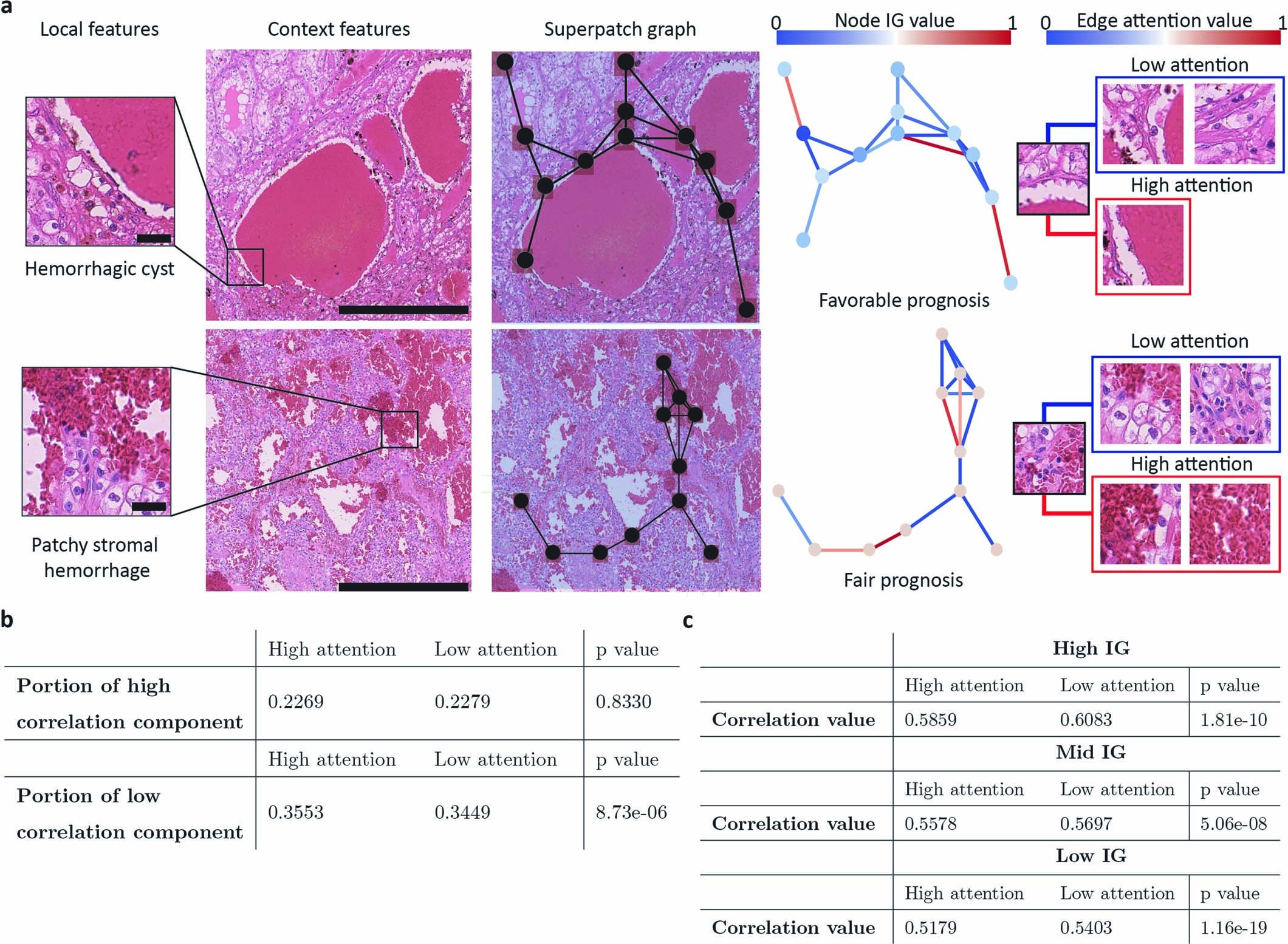 Extended Data Fig. 4: Heterogeneous tumoral architecture features extracted by TEA-graph and effect of attention mechanism to extract the context features.