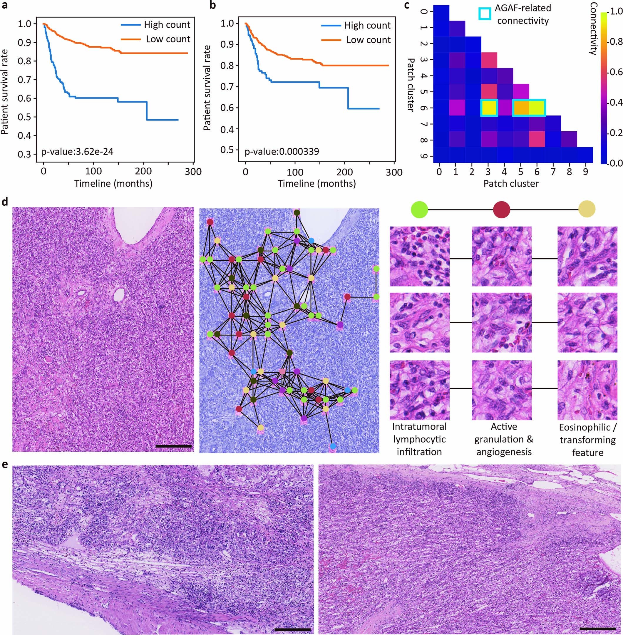 Extended Data Fig. 9: Angiogenesis-related environmental markers predicted by the TEA-graph.