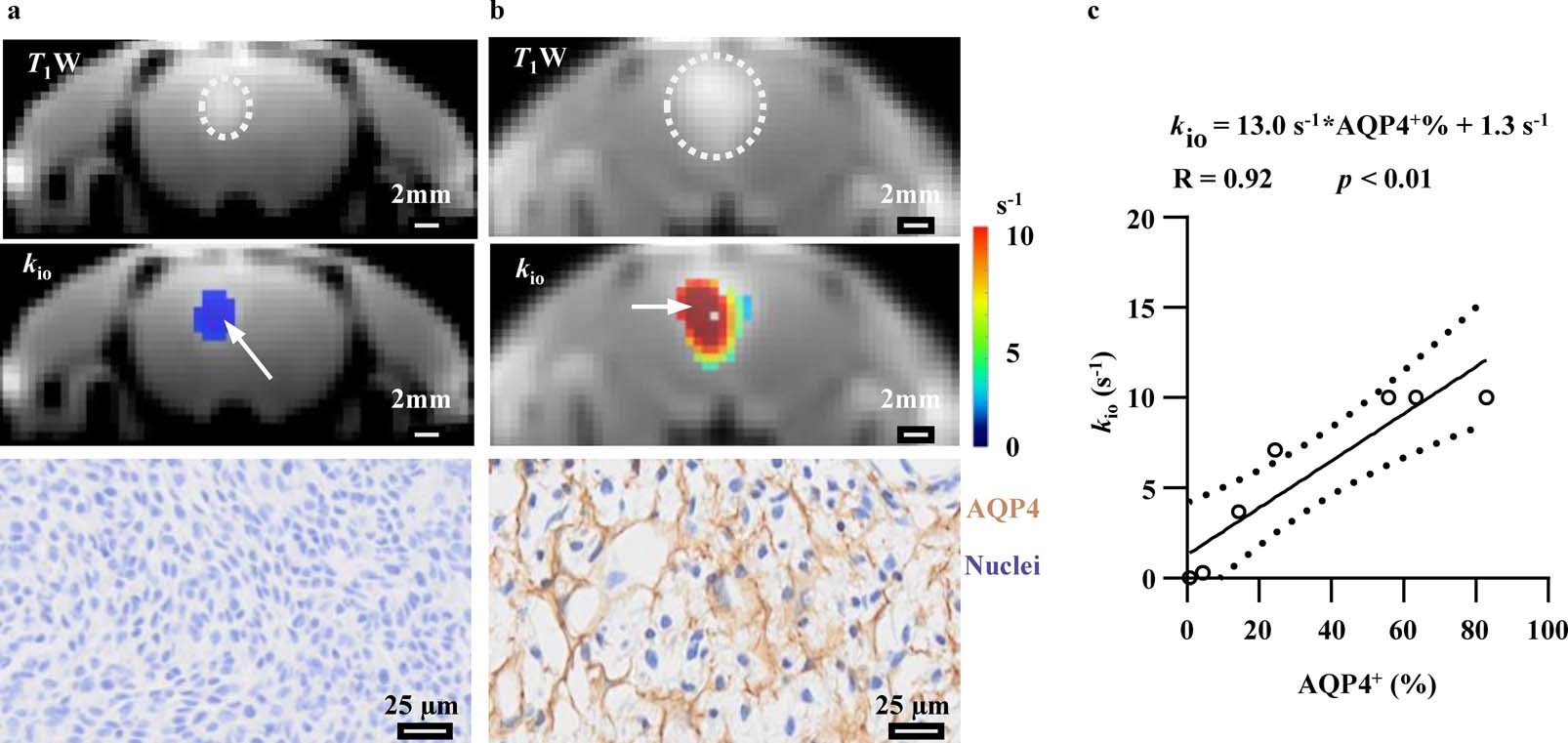 Extended Data Fig. 7