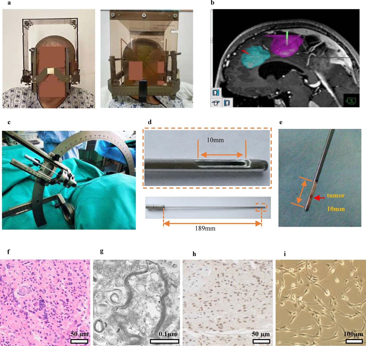 Extended Data Fig. 8