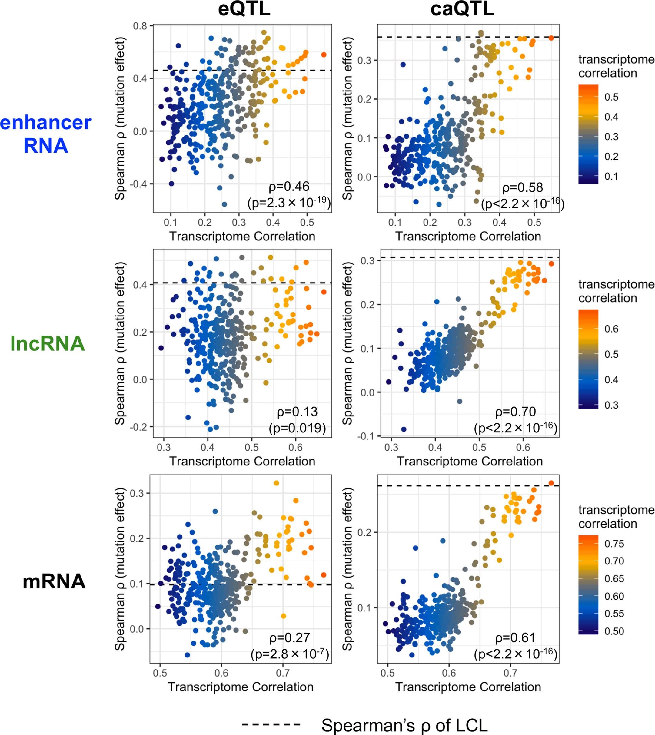 Extended Data Fig. 8: Cell-type dependencies for Spearman’s ρ between MENTR mutation effects and βQTL.