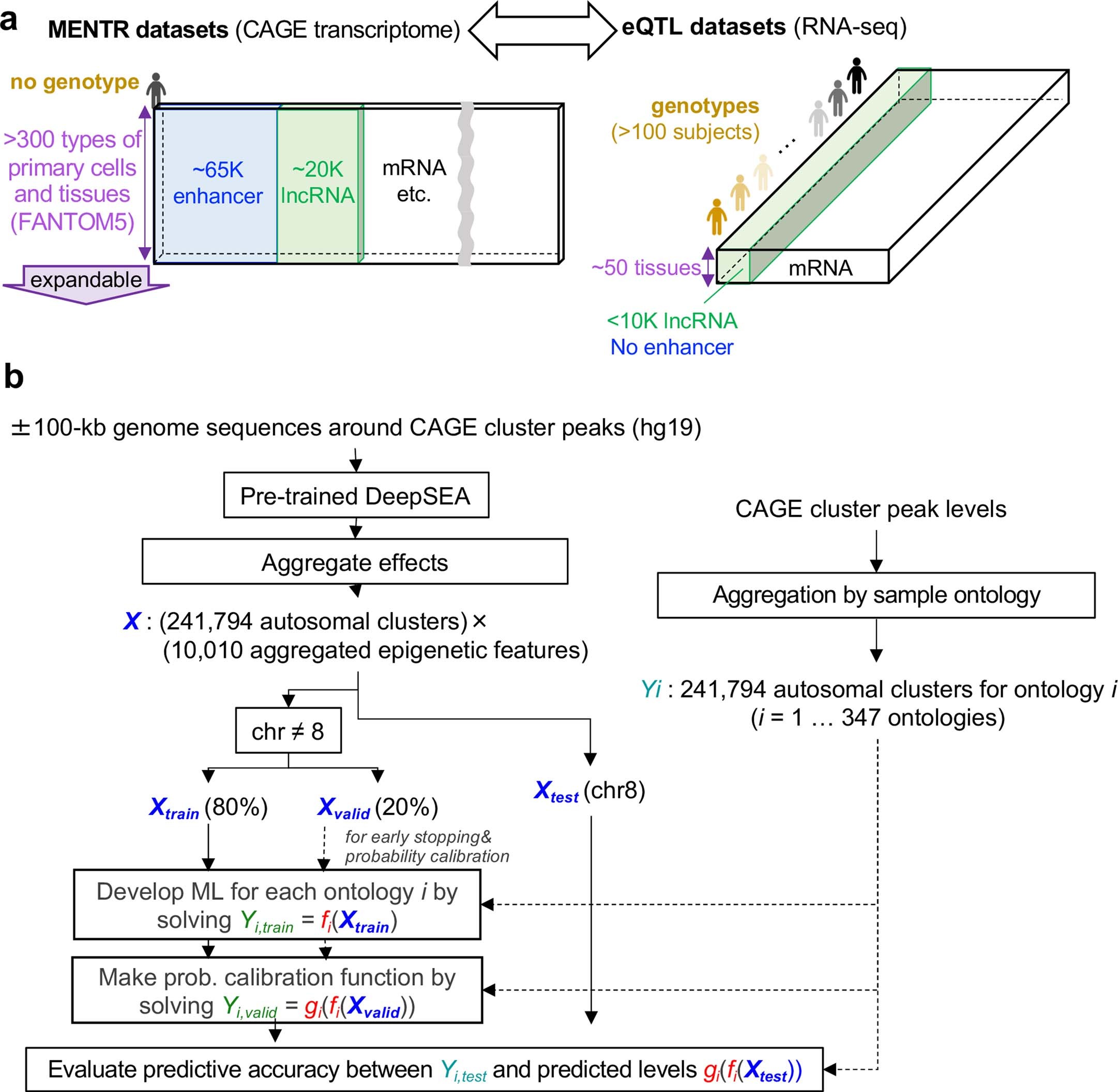 Extended Data Fig. 1: Details about MENTR ML.
