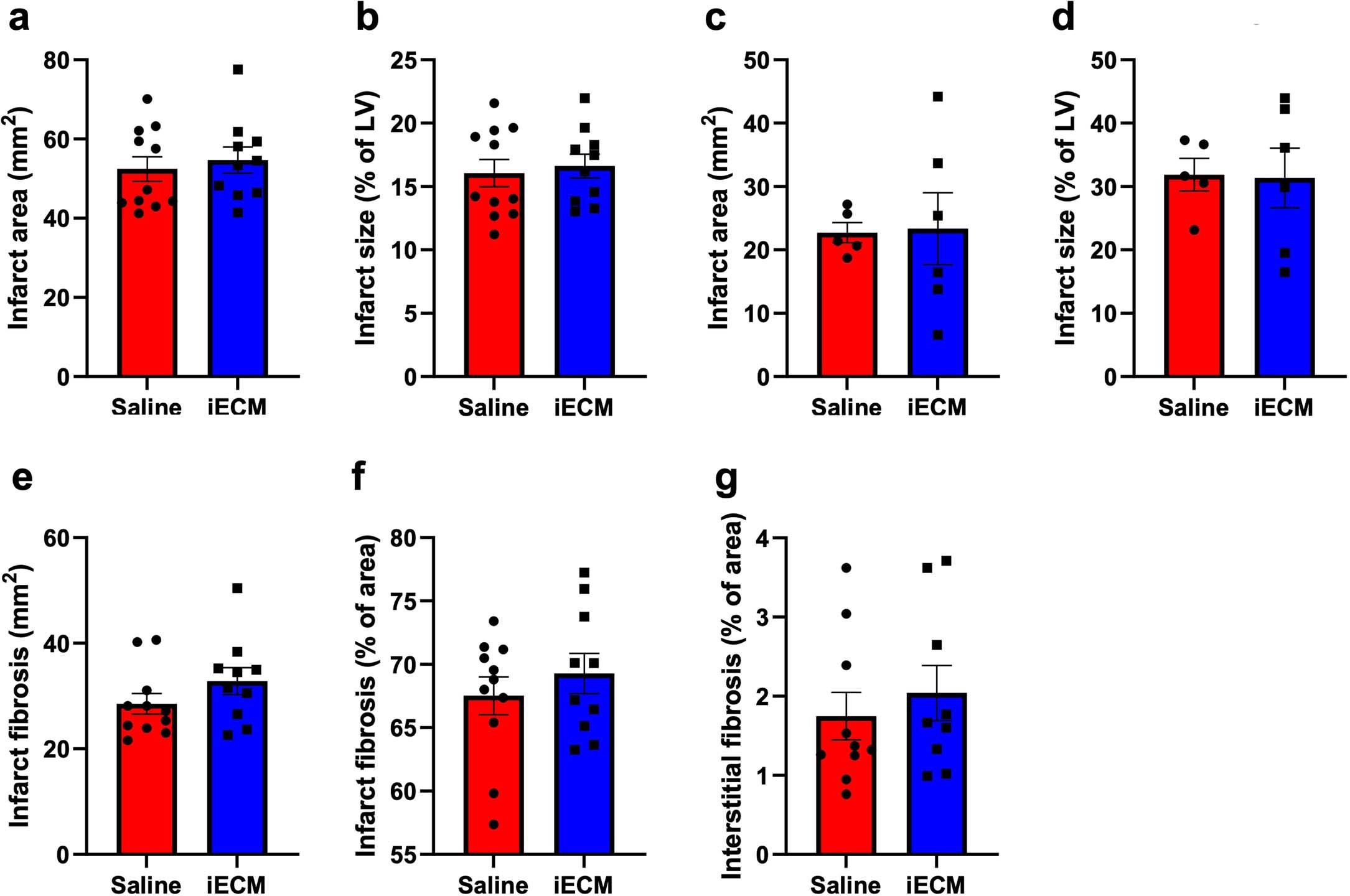 Extended Data Fig. 1: Histological measurements post-infusion show no significant differences in infarct size or fibrosis between iECM and saline infused rats.