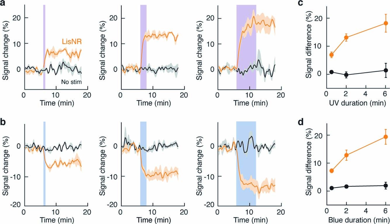 Extended Data Fig. 1: Light-LisNR response as a function of stimulus duration.