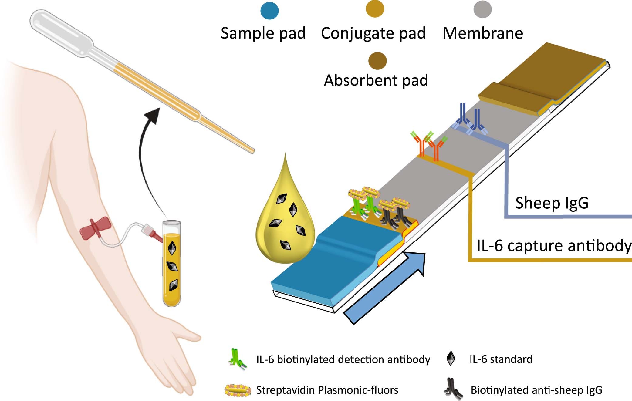Extended Data Fig. 2