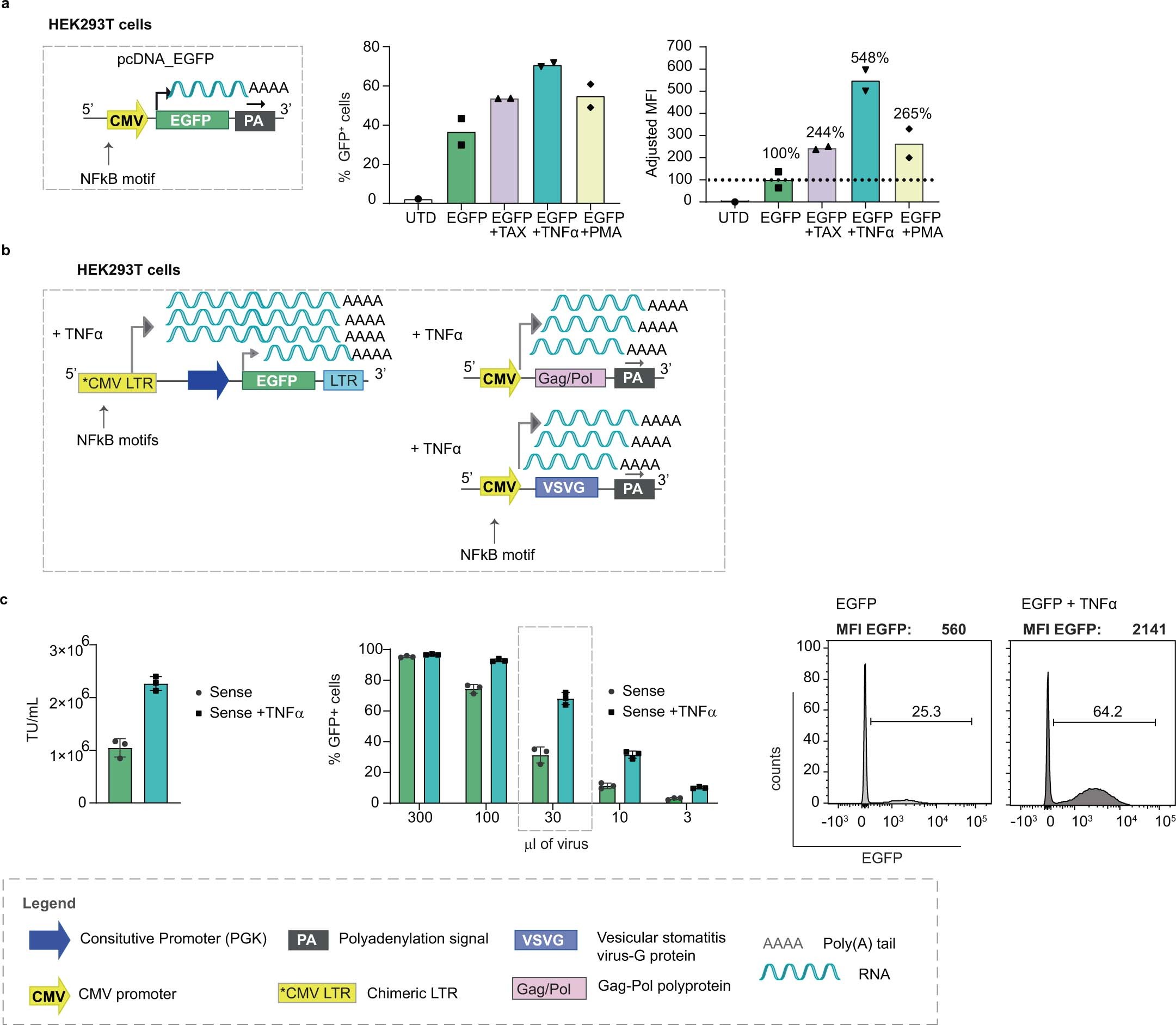 Extended Data Fig. 7: TNFα can be used instead of Tax to augment transcription from vectors comprising a CMV promoter.