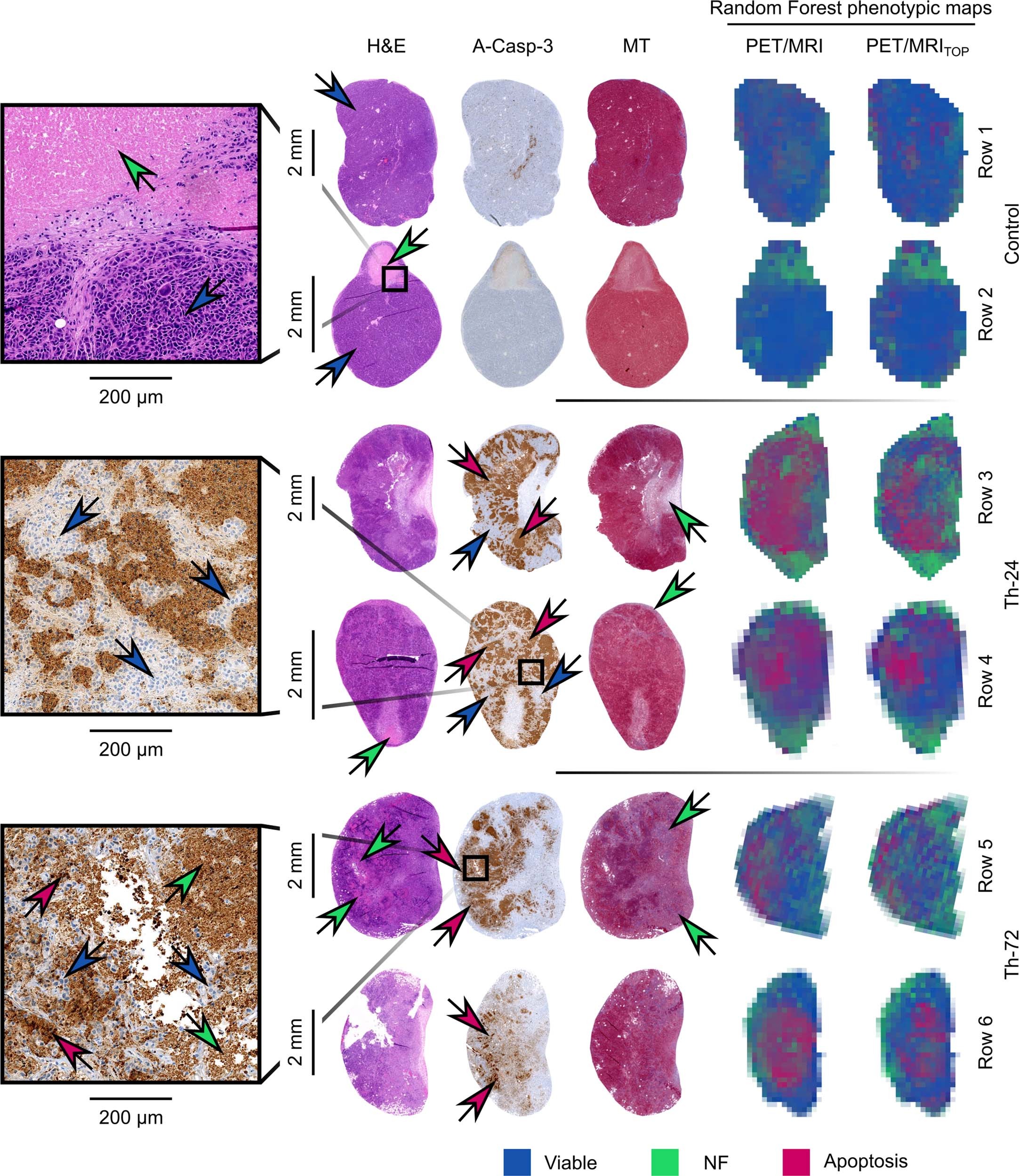 Extended Data Fig. 4