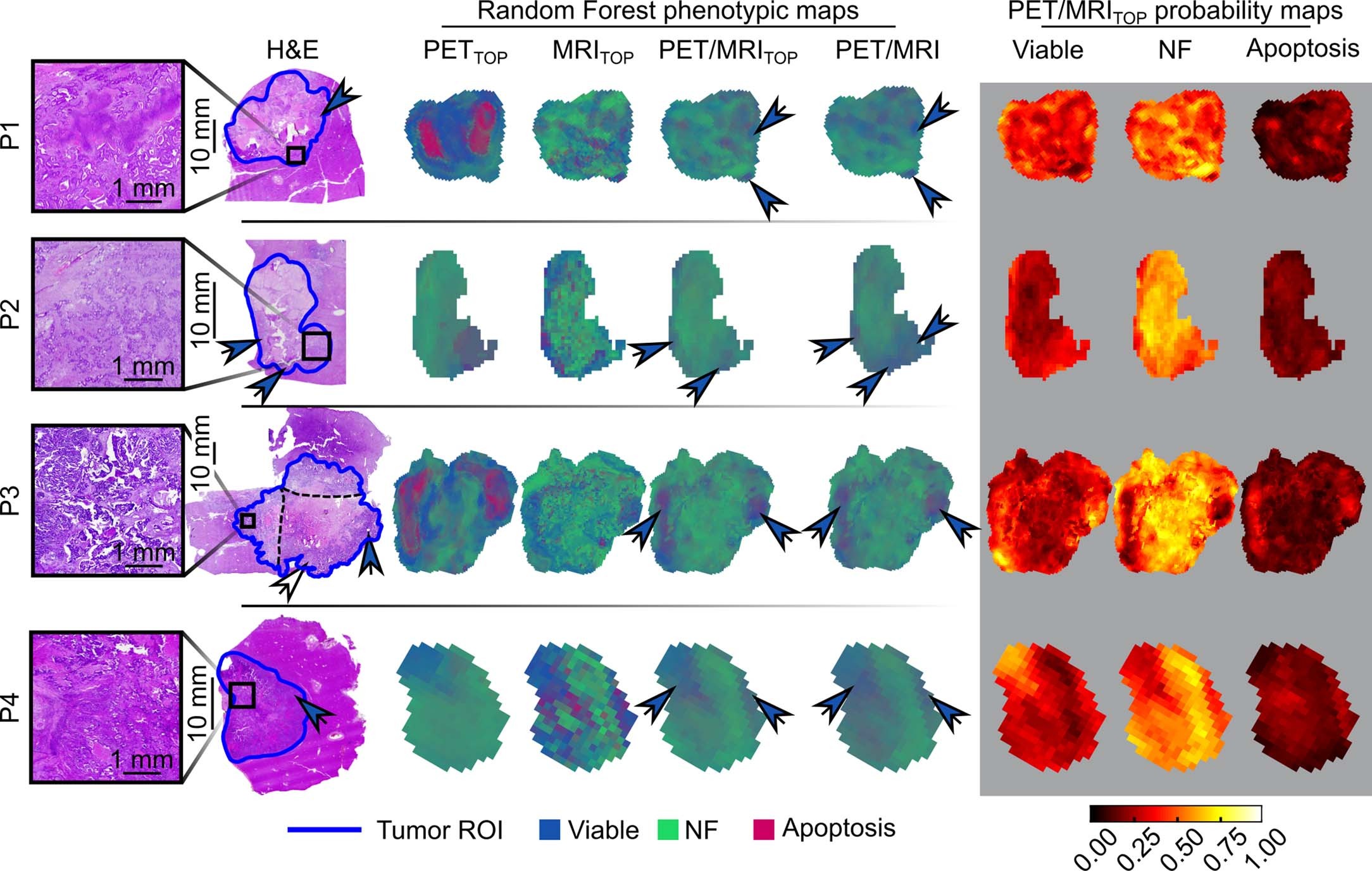 Extended Data Fig. 5