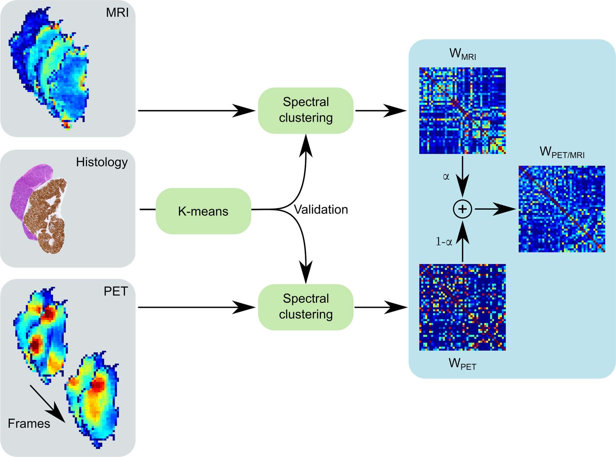 Extended Data Fig. 6