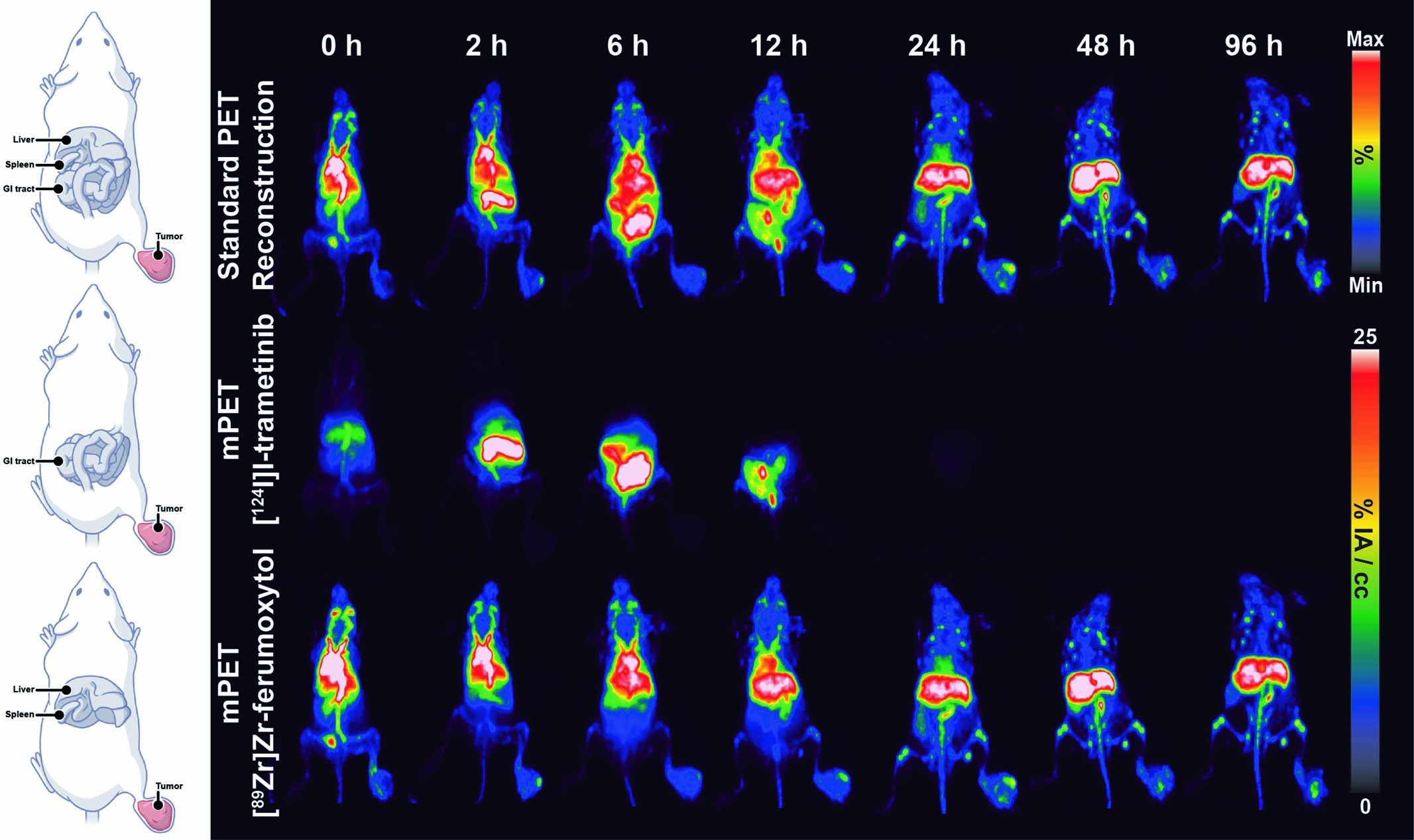 Extended Data Fig. 1: Extended mPET imaging of nanoparticle biodistribution through 96 hours.