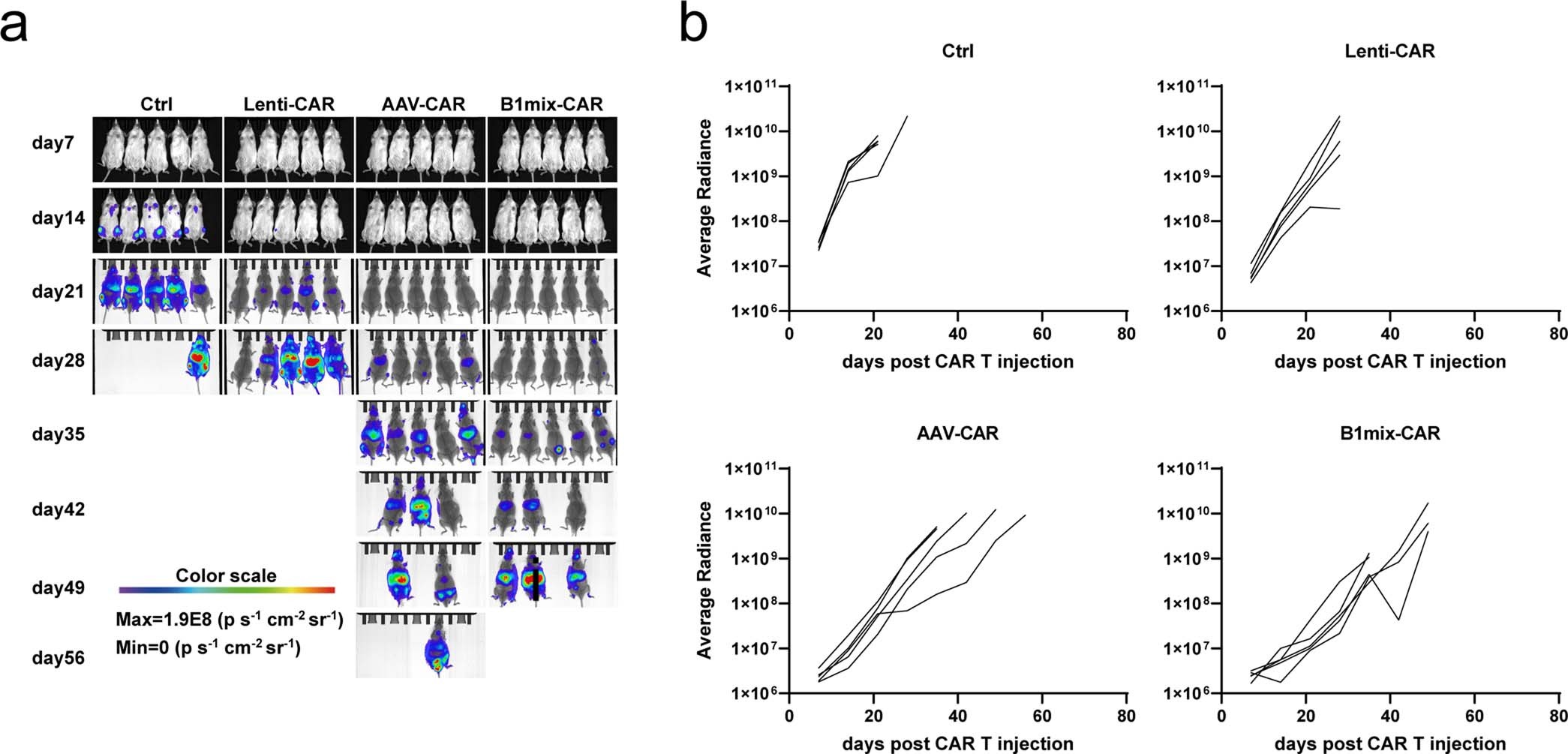 Extended Data Fig. 5