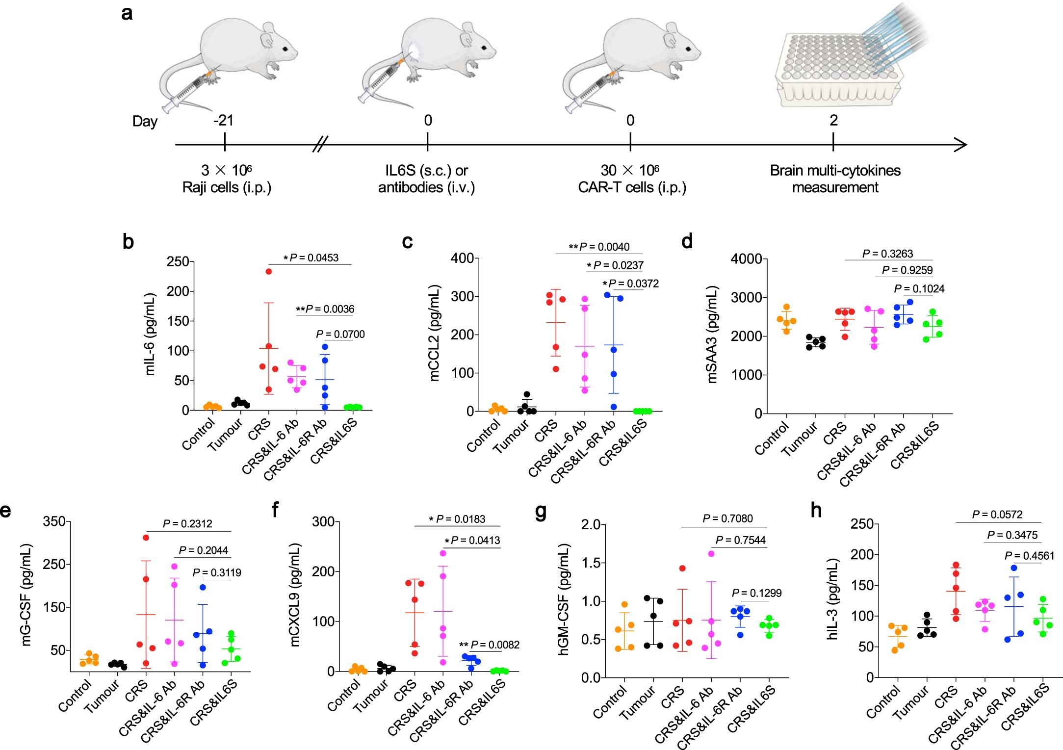 Extended Data Fig. 5: IL6S ablates the accumulation of multiple cytokines in the mouse brain.
