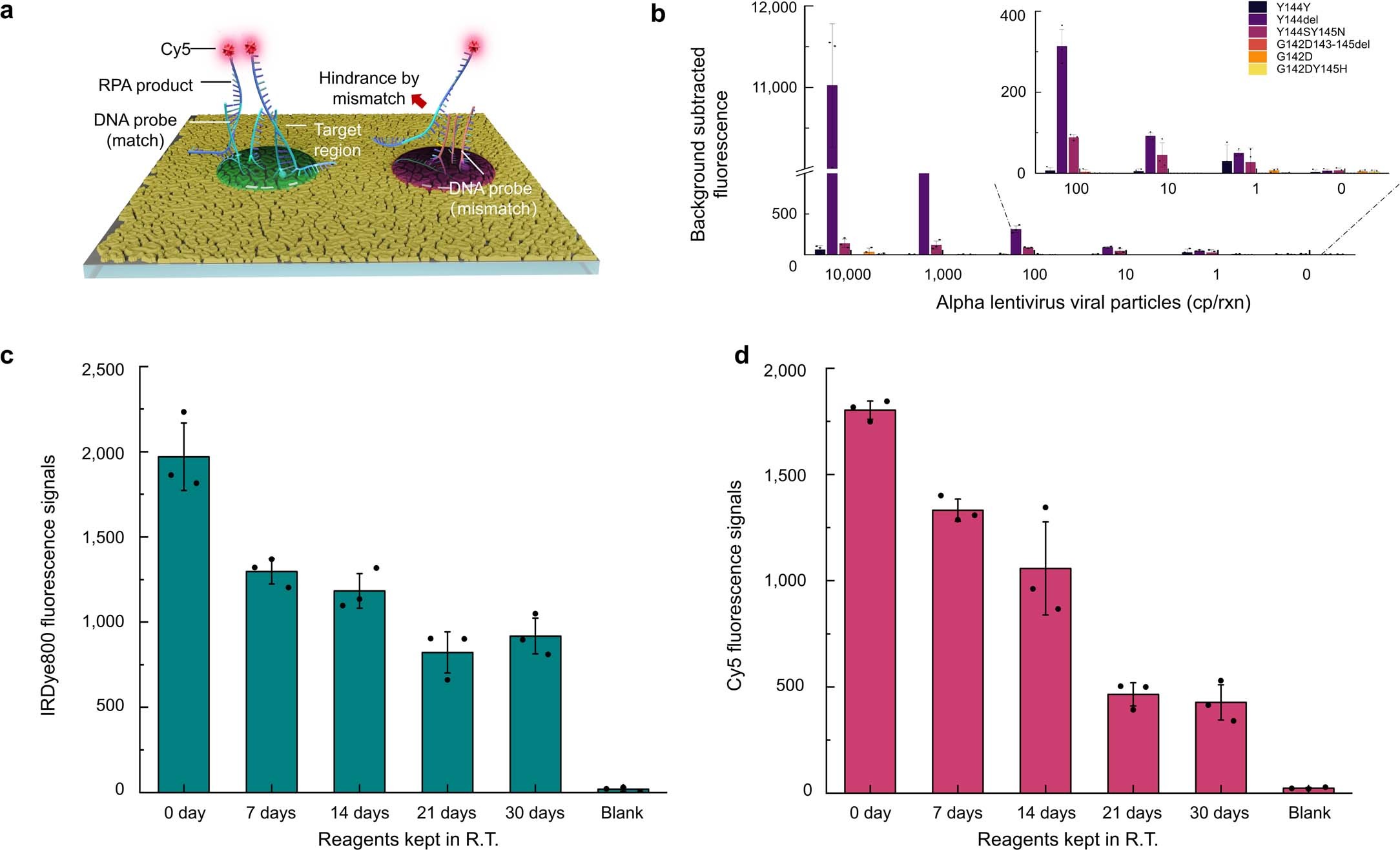 Extended Data Fig. 8: Point-of-care design of the FEMMAN assay, and stability of the reagents.