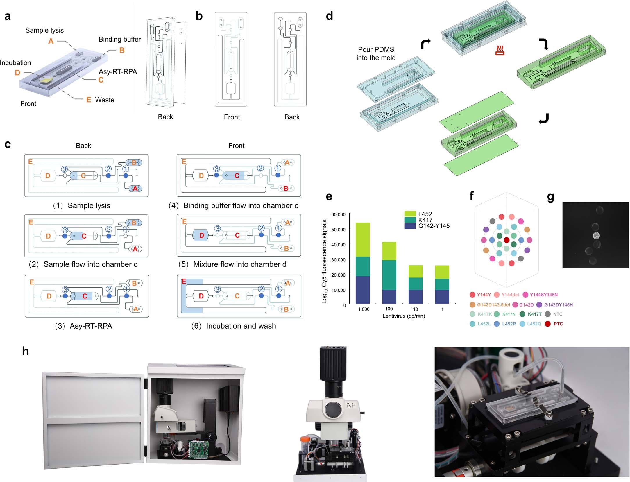Extended Data Fig. 9: Design of the microfluidic DNA chip and of the control processes.